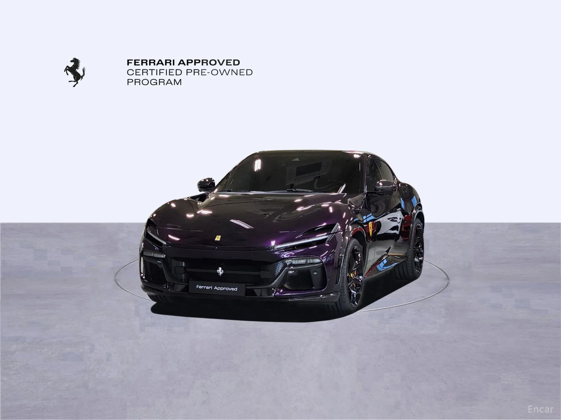 Ferrari Puro Sange превью 11