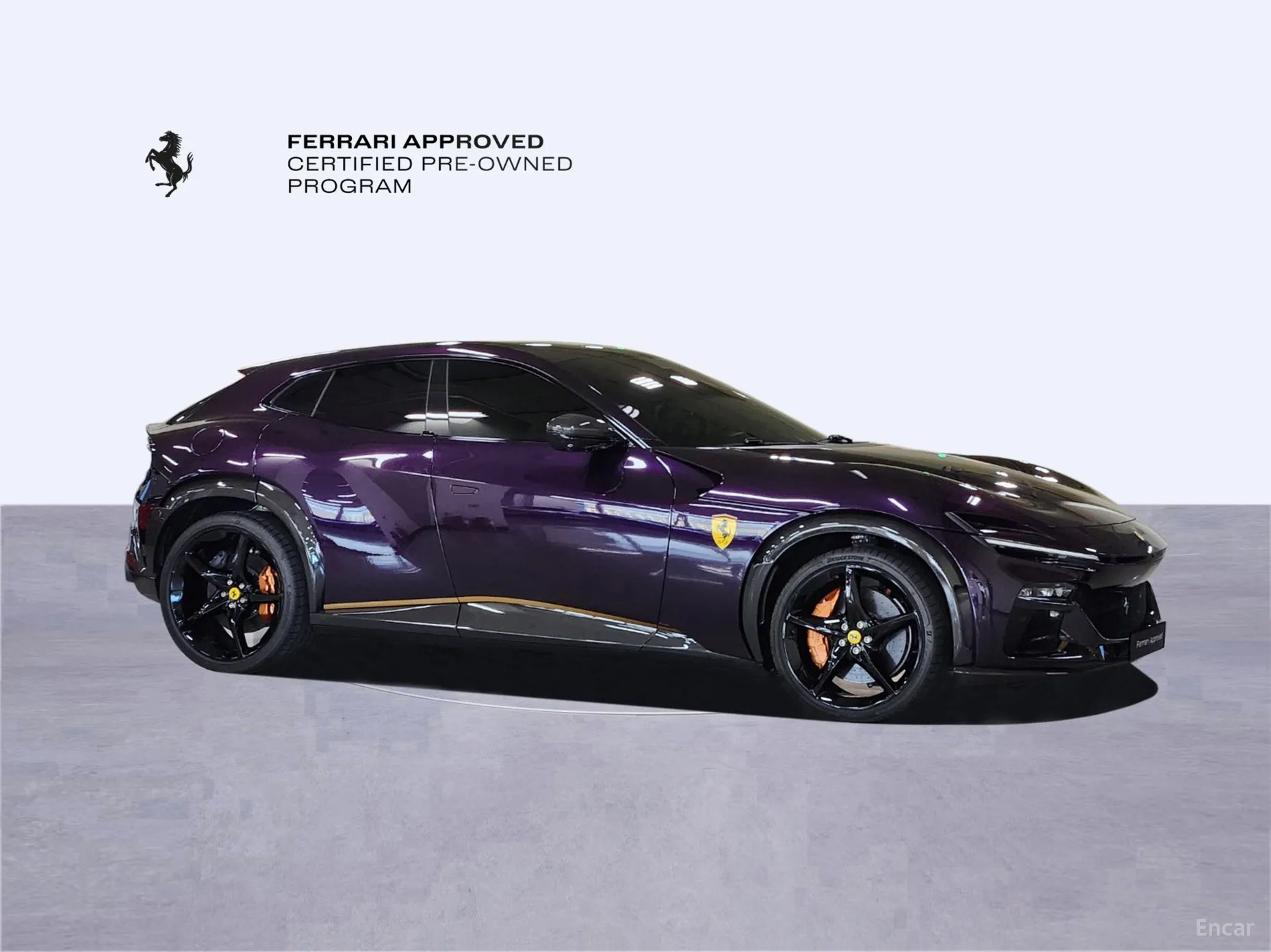 Ferrari Puro Sange превью 5