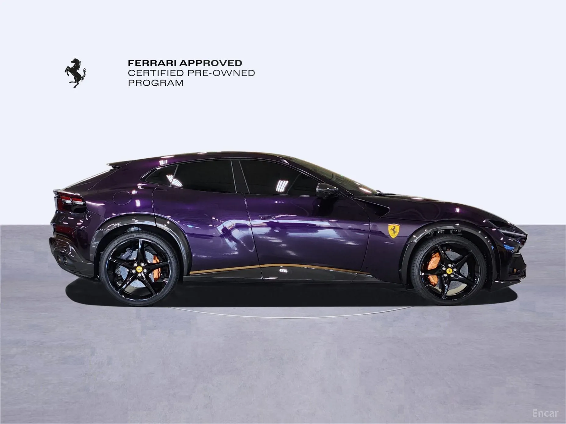 Ferrari Puro Sange превью 6