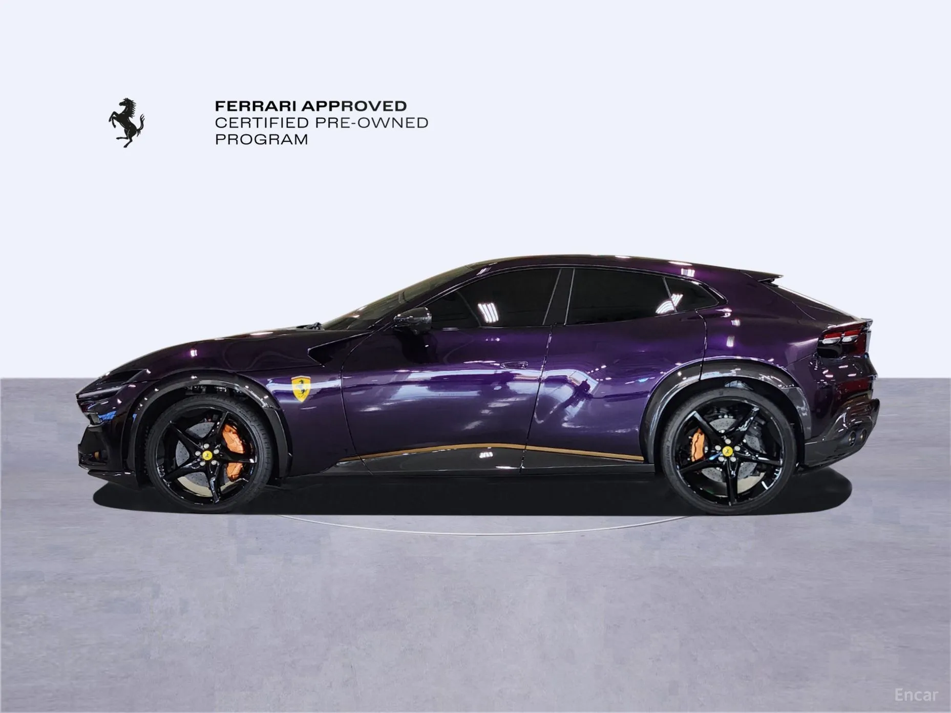 Ferrari Puro Sange превью 8