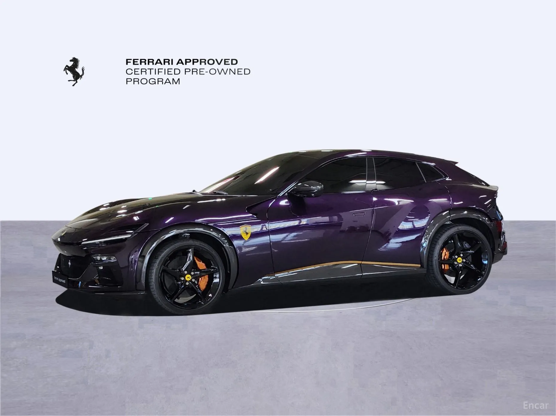 Ferrari Puro Sange превью 9