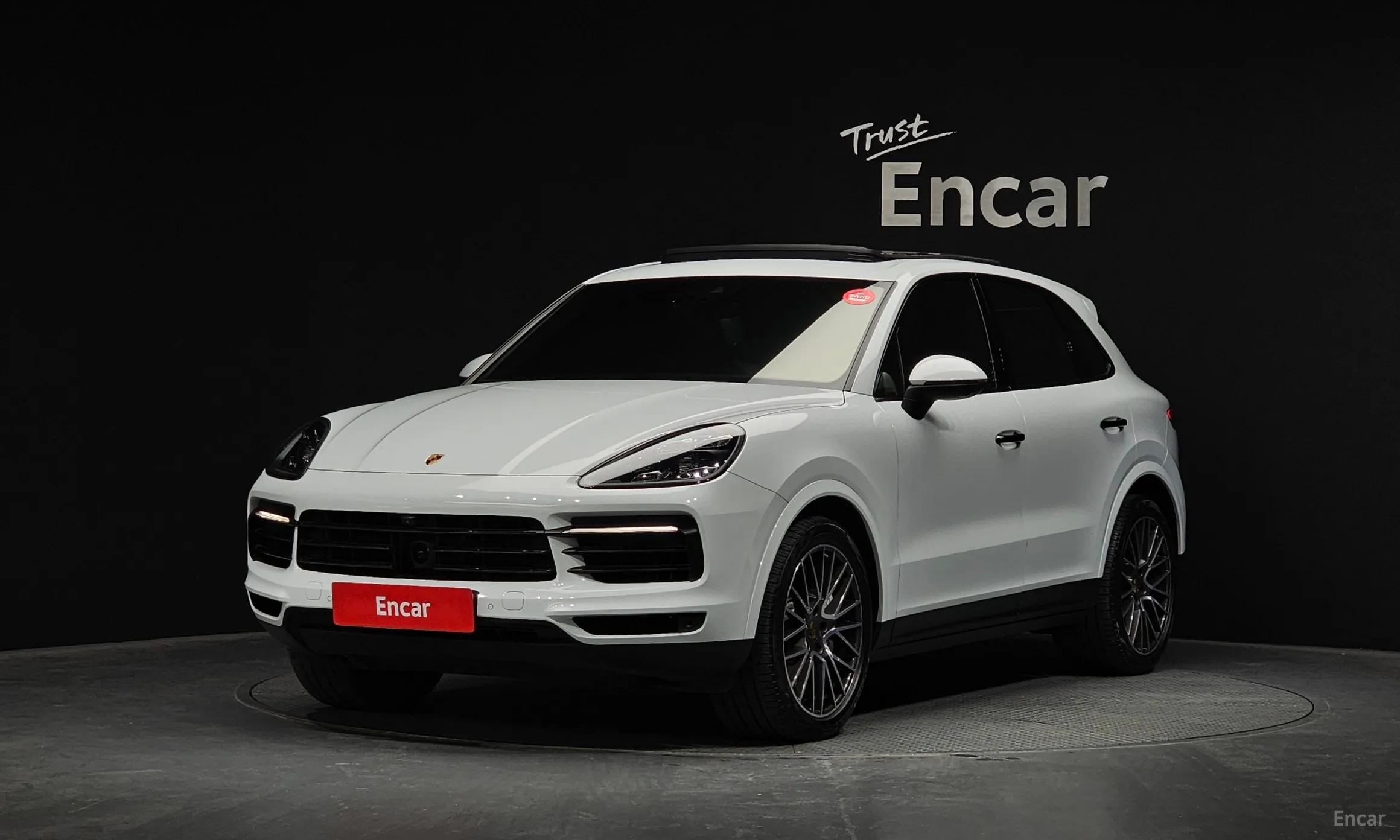 Cayenne (PO536)
