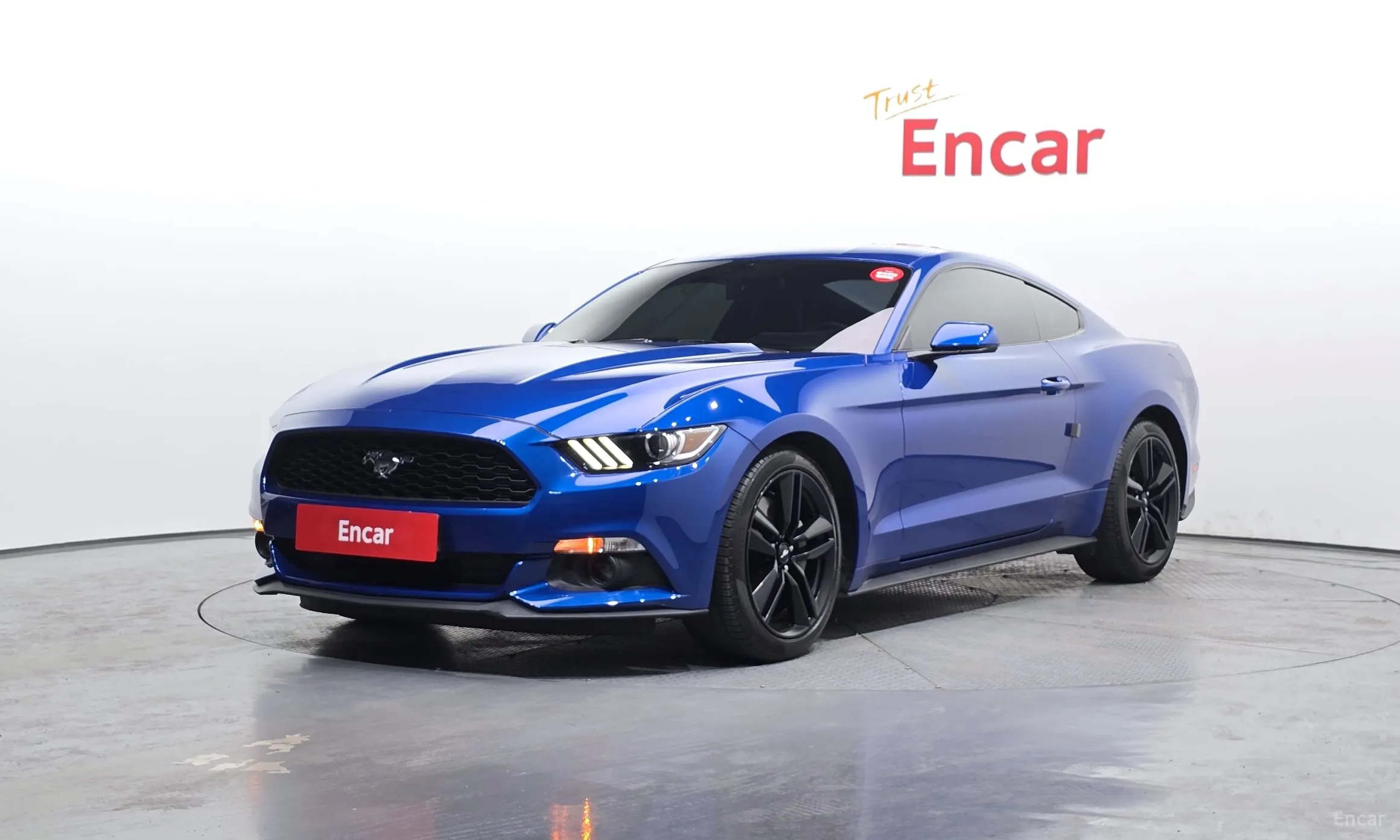 Mustang