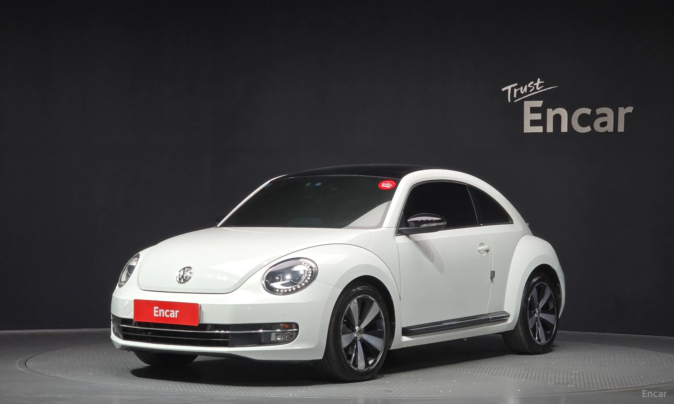 Volkswagen The Beetle