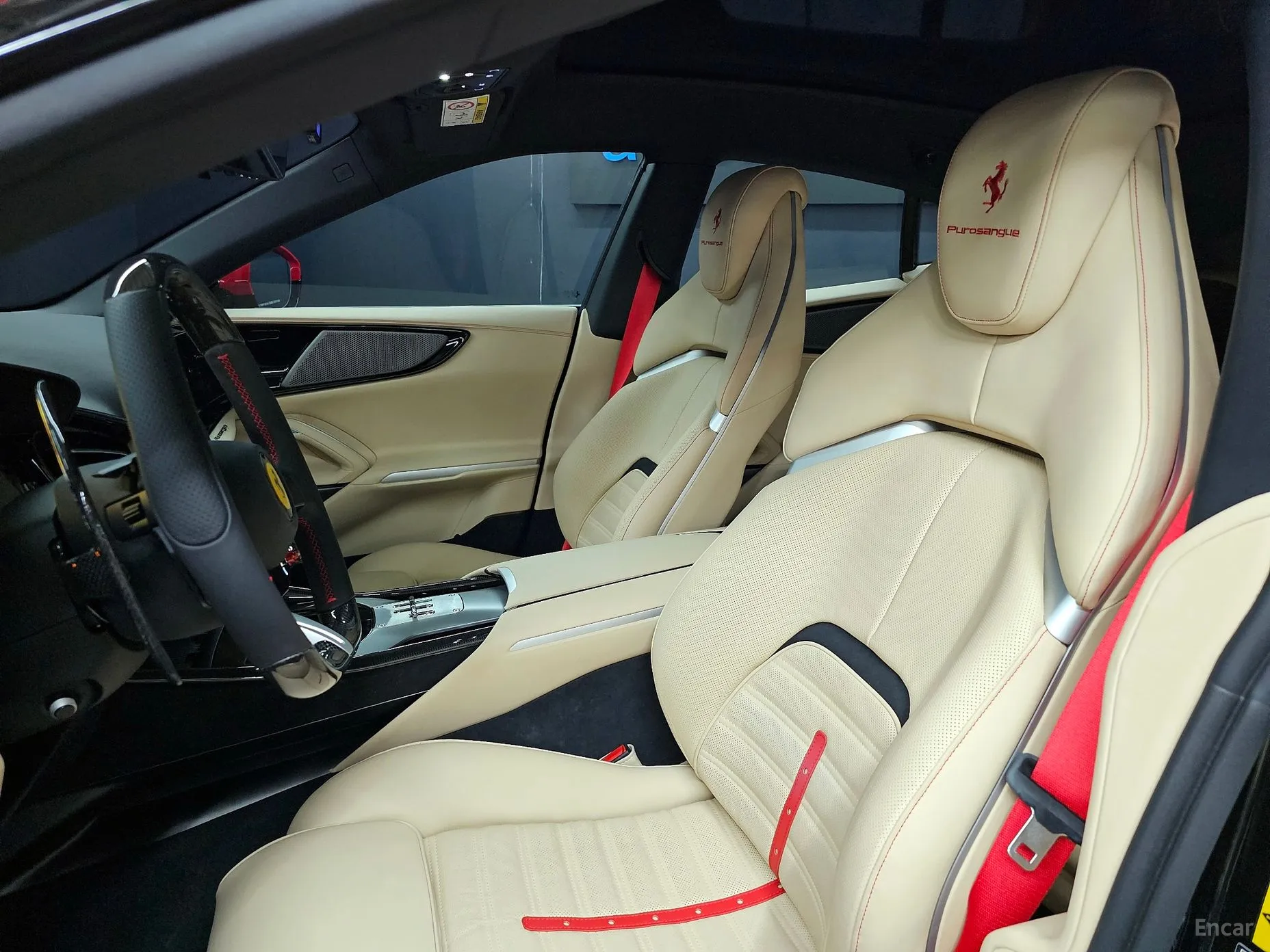 Ferrari Puro Sange превью 10