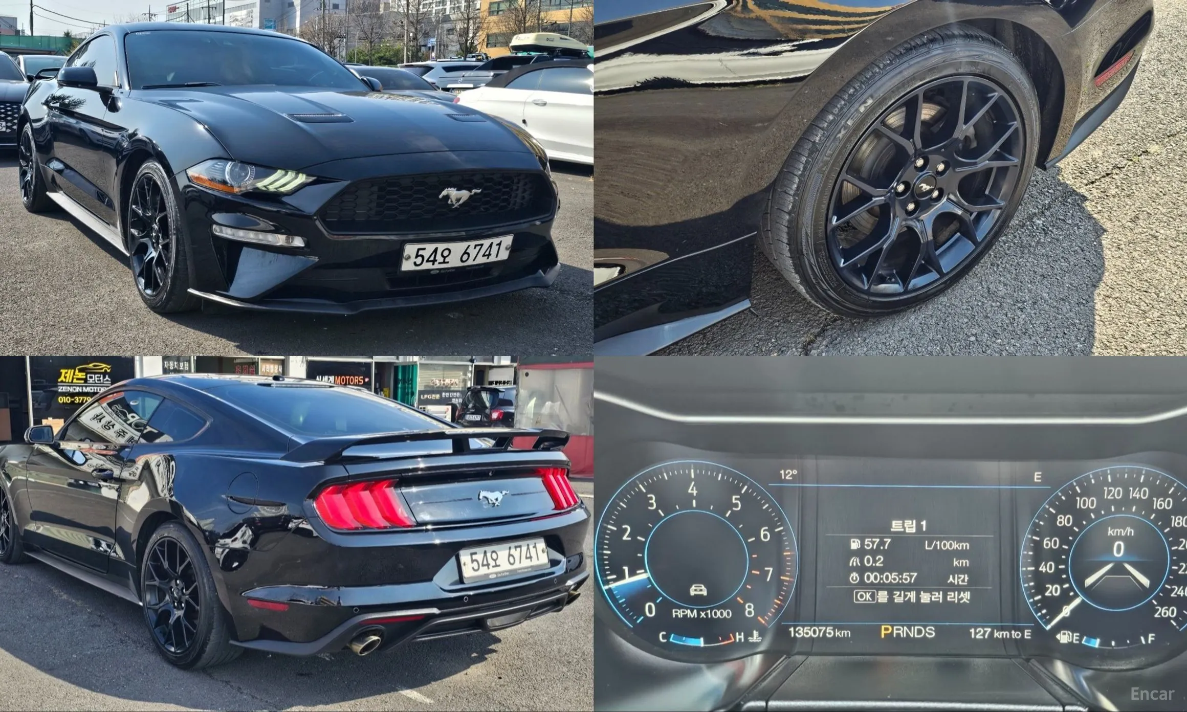 Mustang