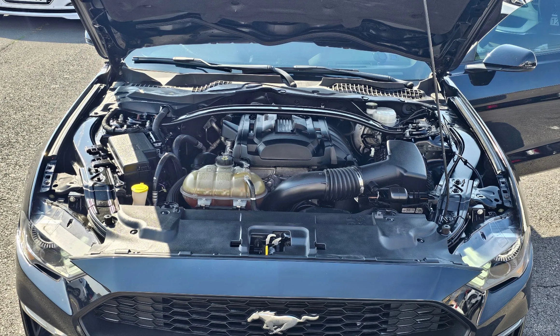 Ford Mustang превью 20