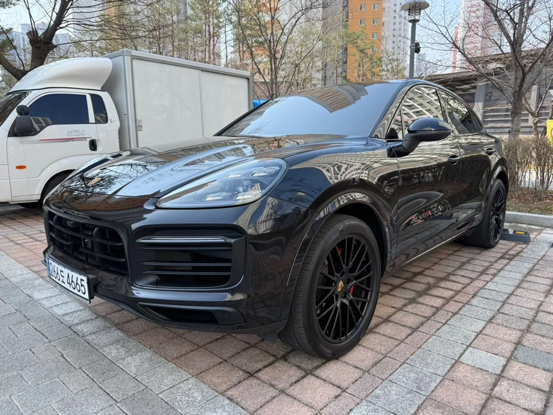 Cayenne (PO536)