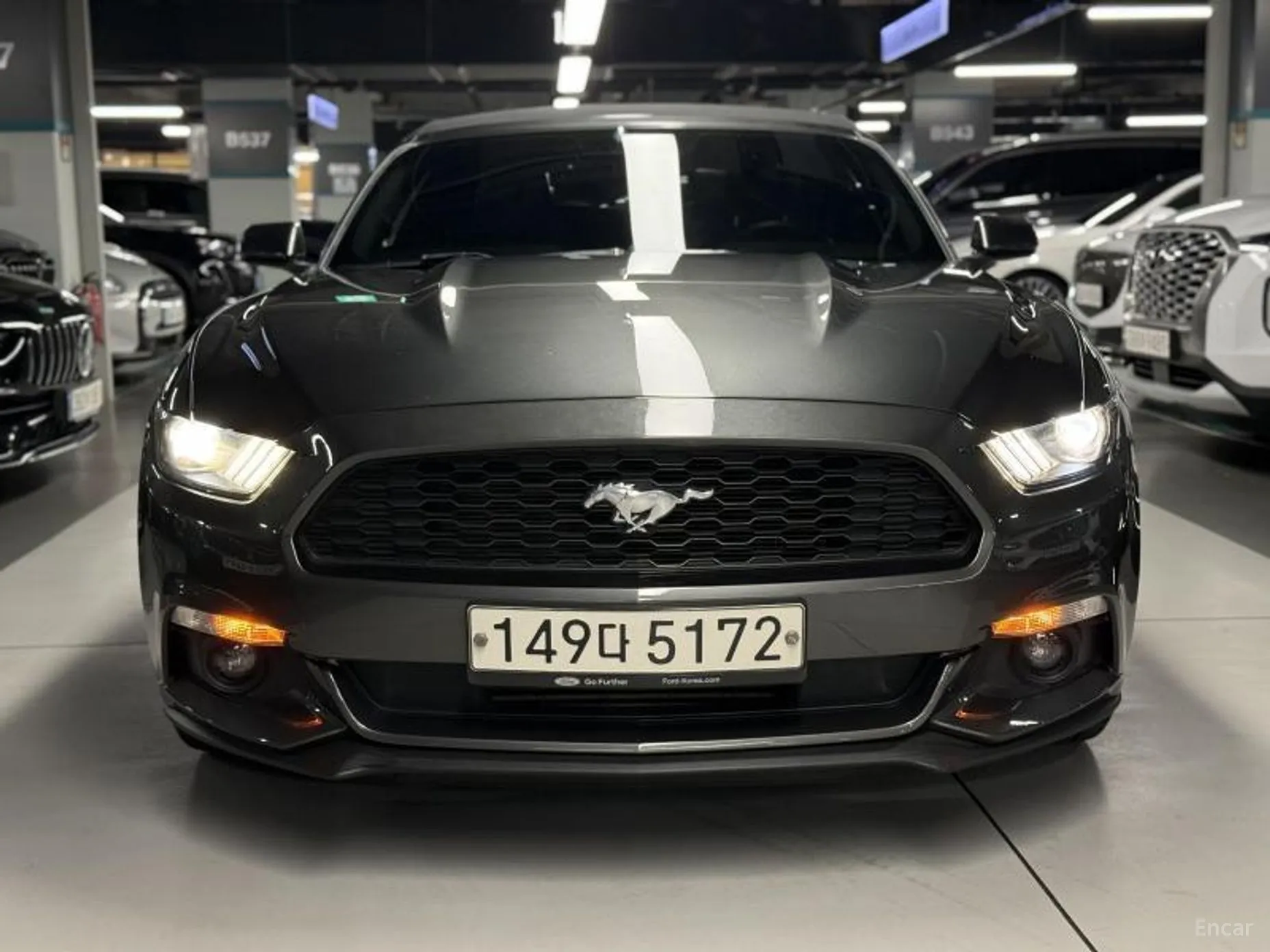 Mustang