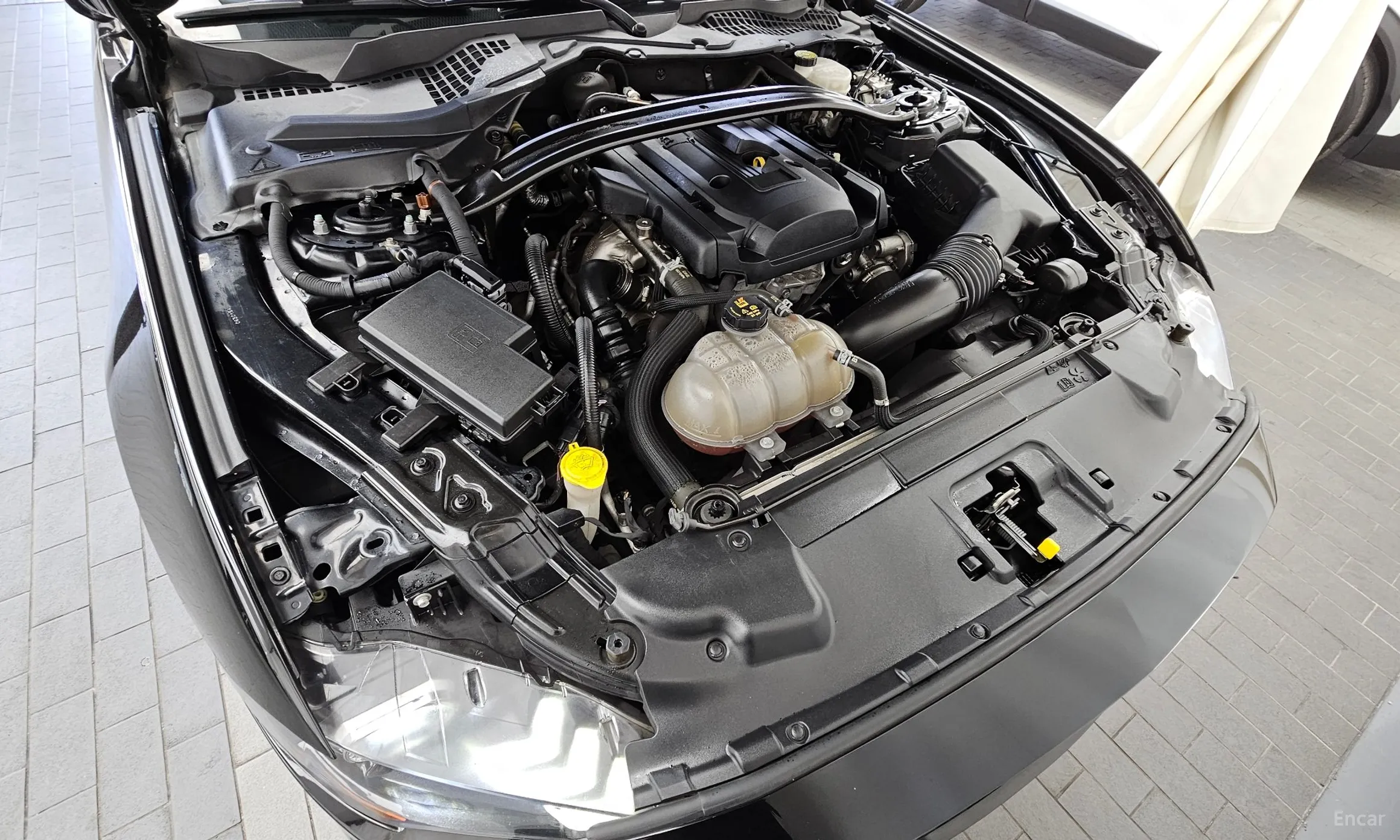 Ford Mustang превью 6