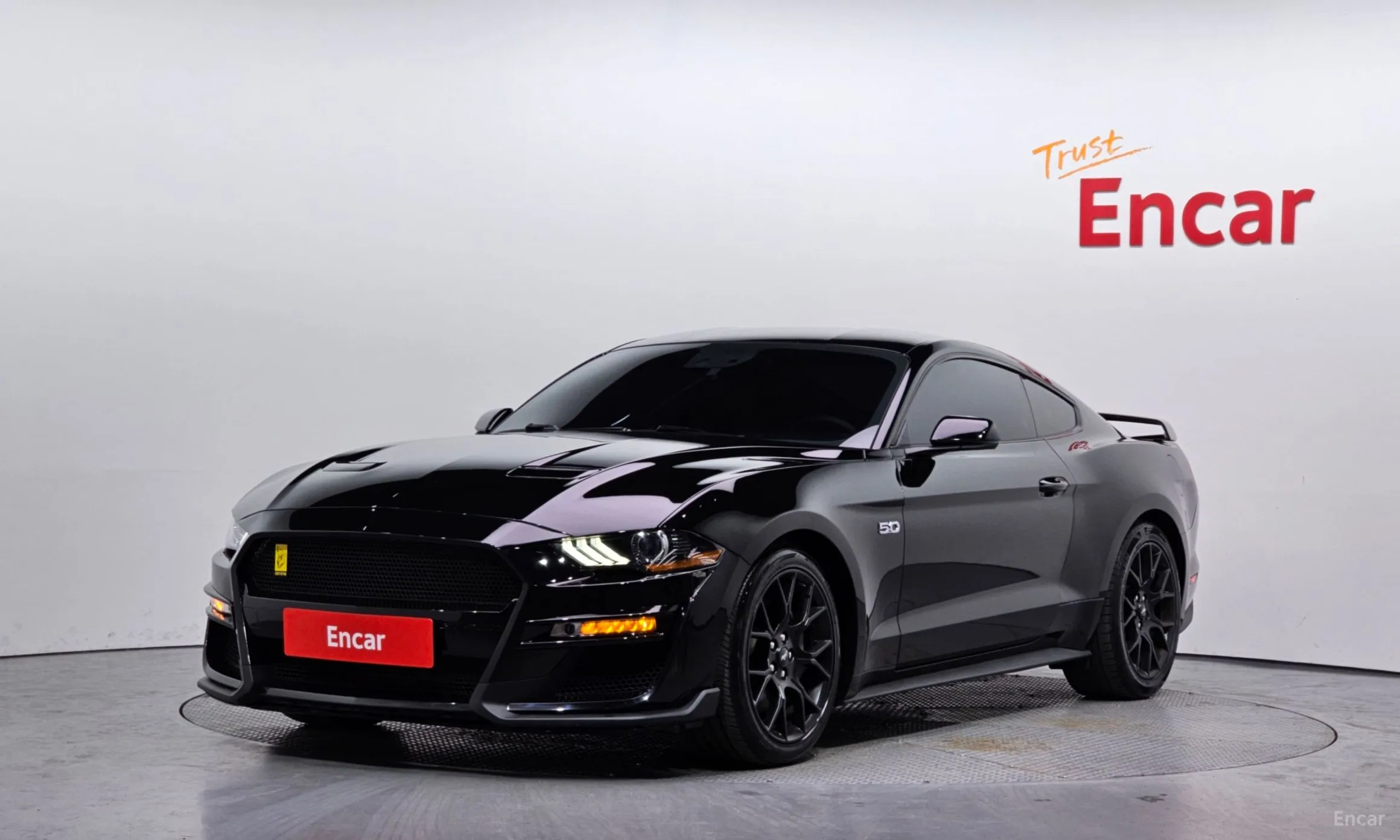 Mustang
