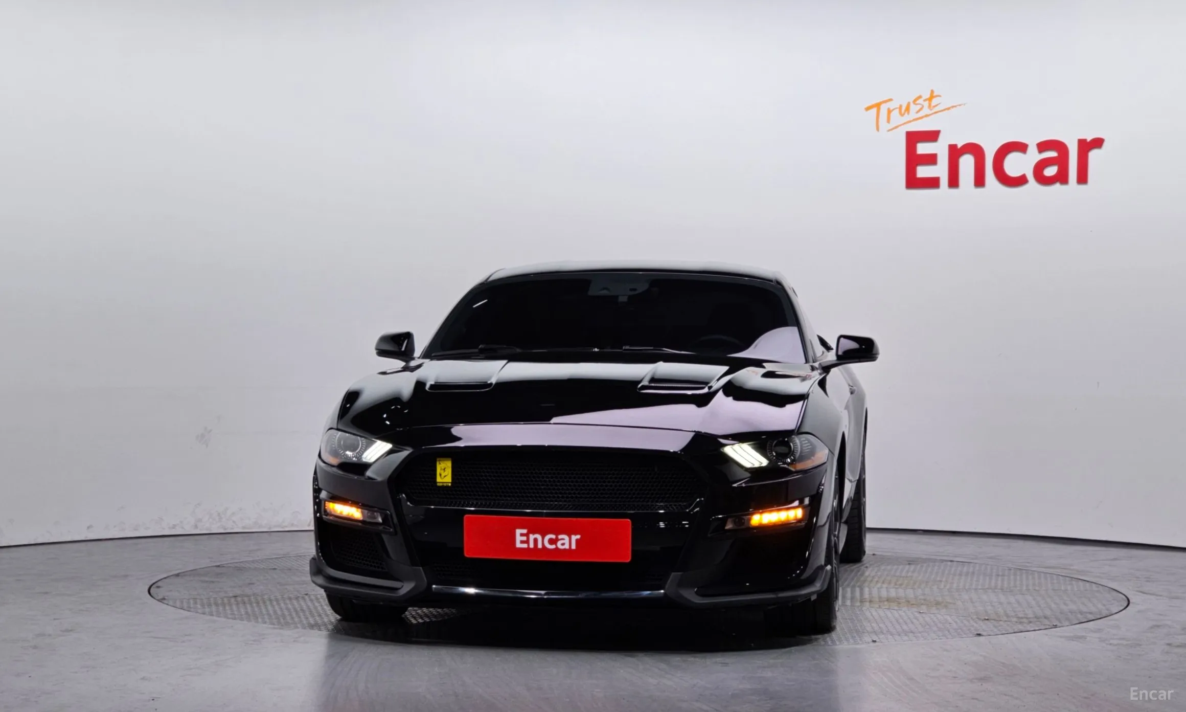 Ford Mustang превью 3