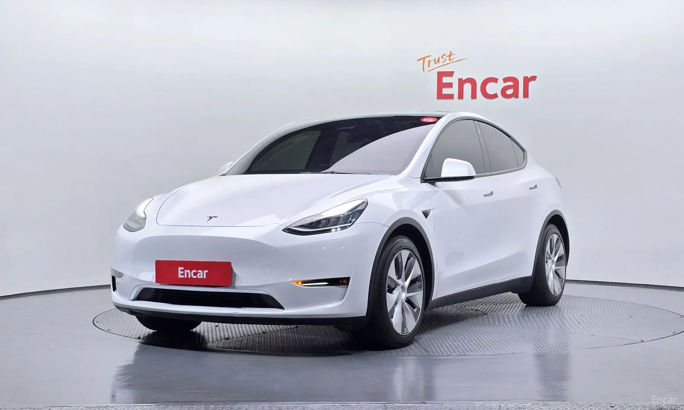 Model Y