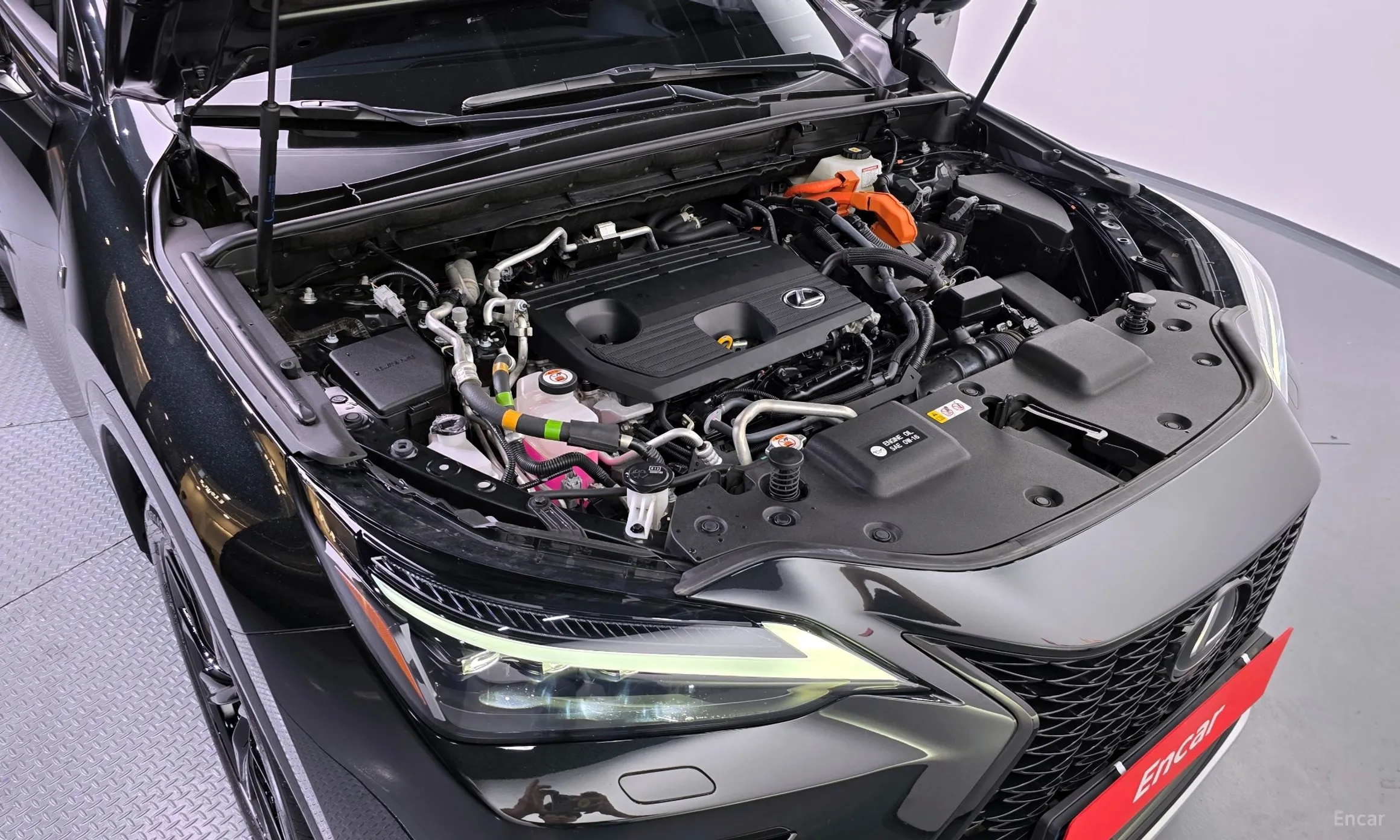 Lexus NX450h + 2nd Gen превью 6