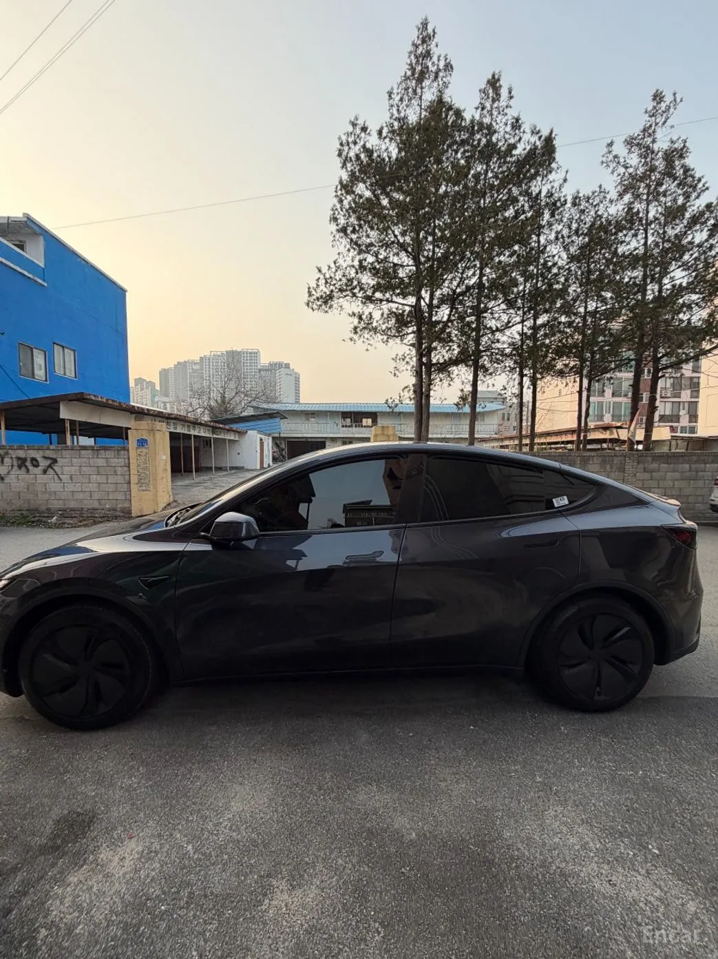 Tesla Model Y превью 4