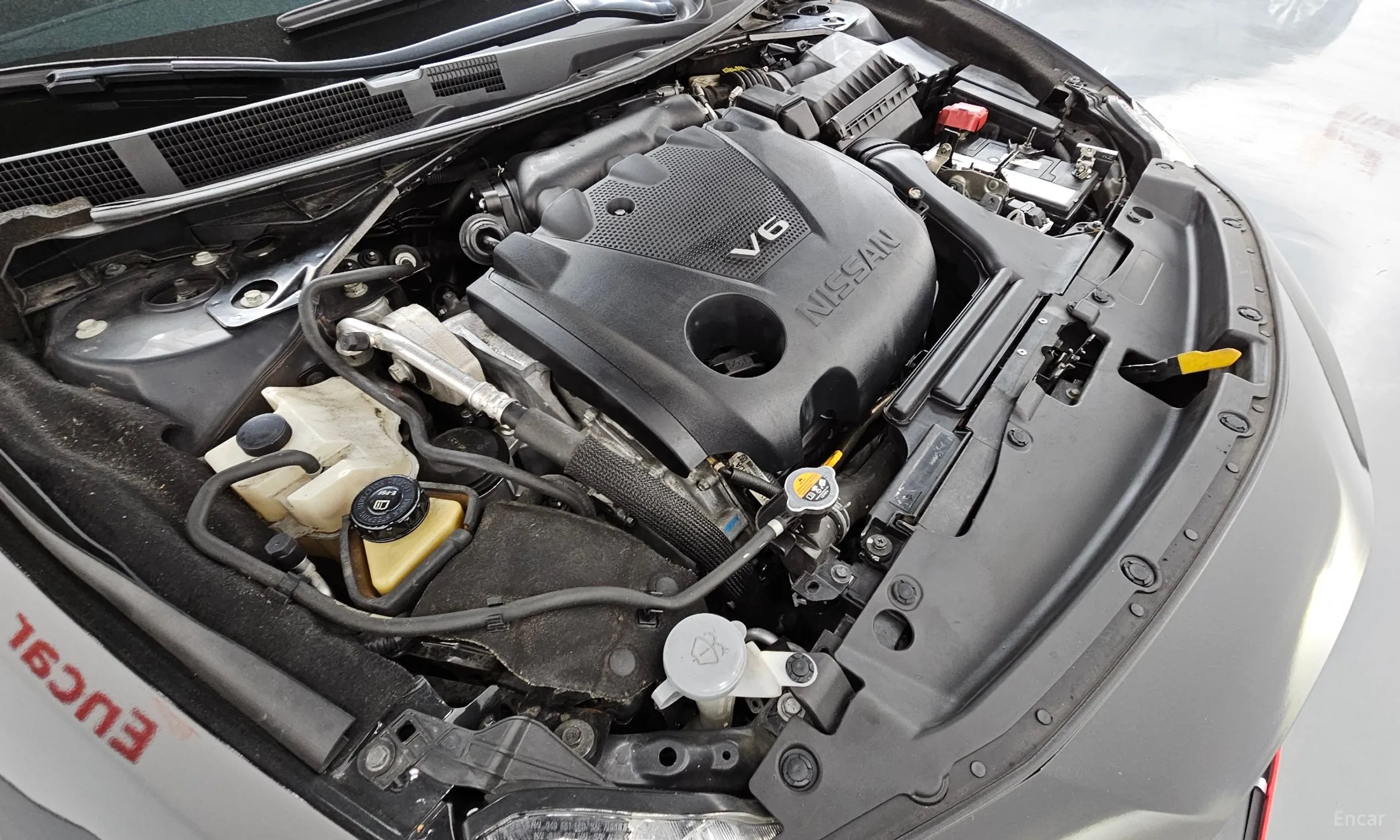 Nissan Maxima (A36) превью 6