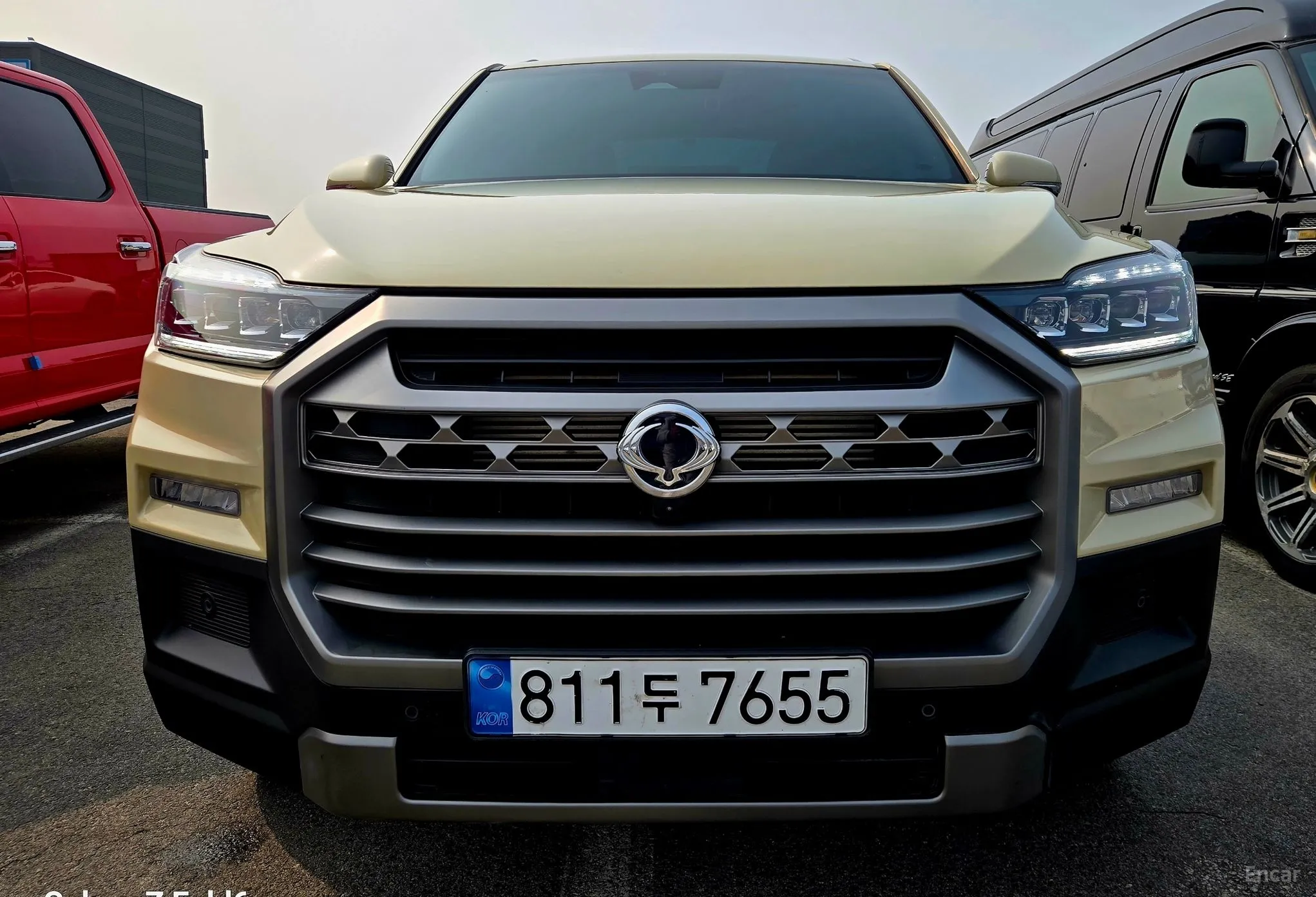 Rexton Sports