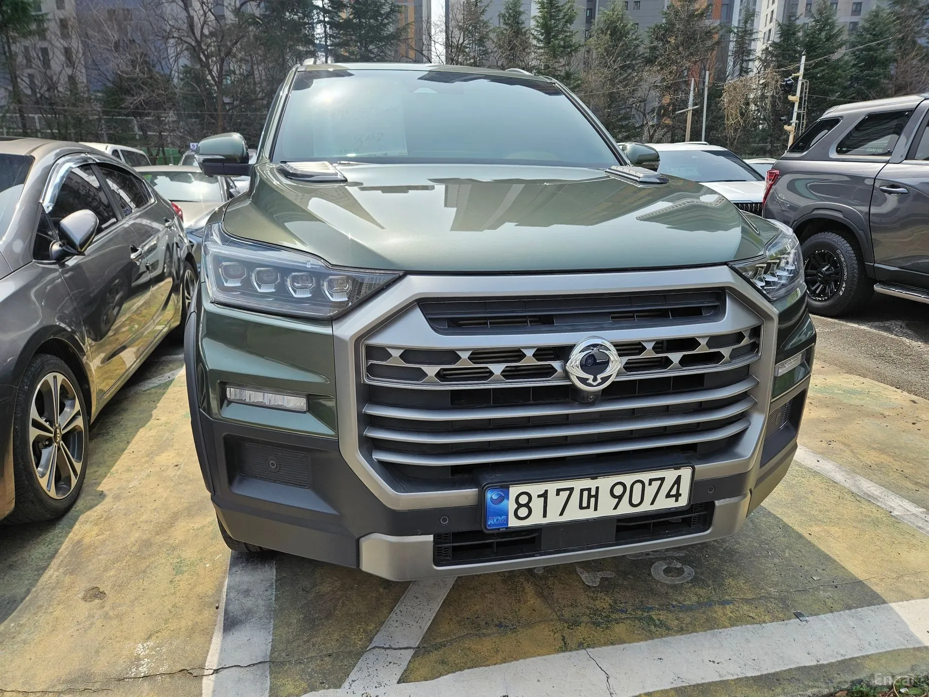 Rexton Sports