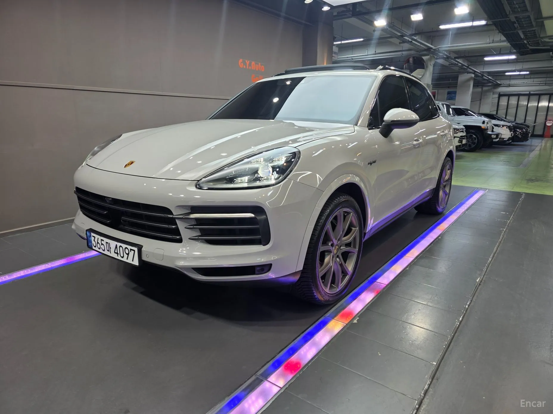 Cayenne (PO536)