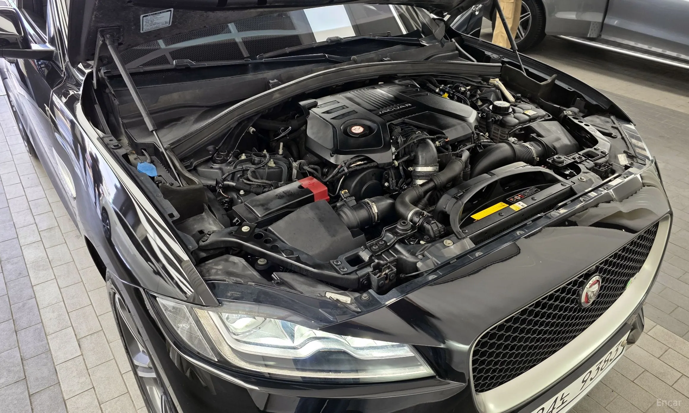 Jaguar F-PACE превью 6