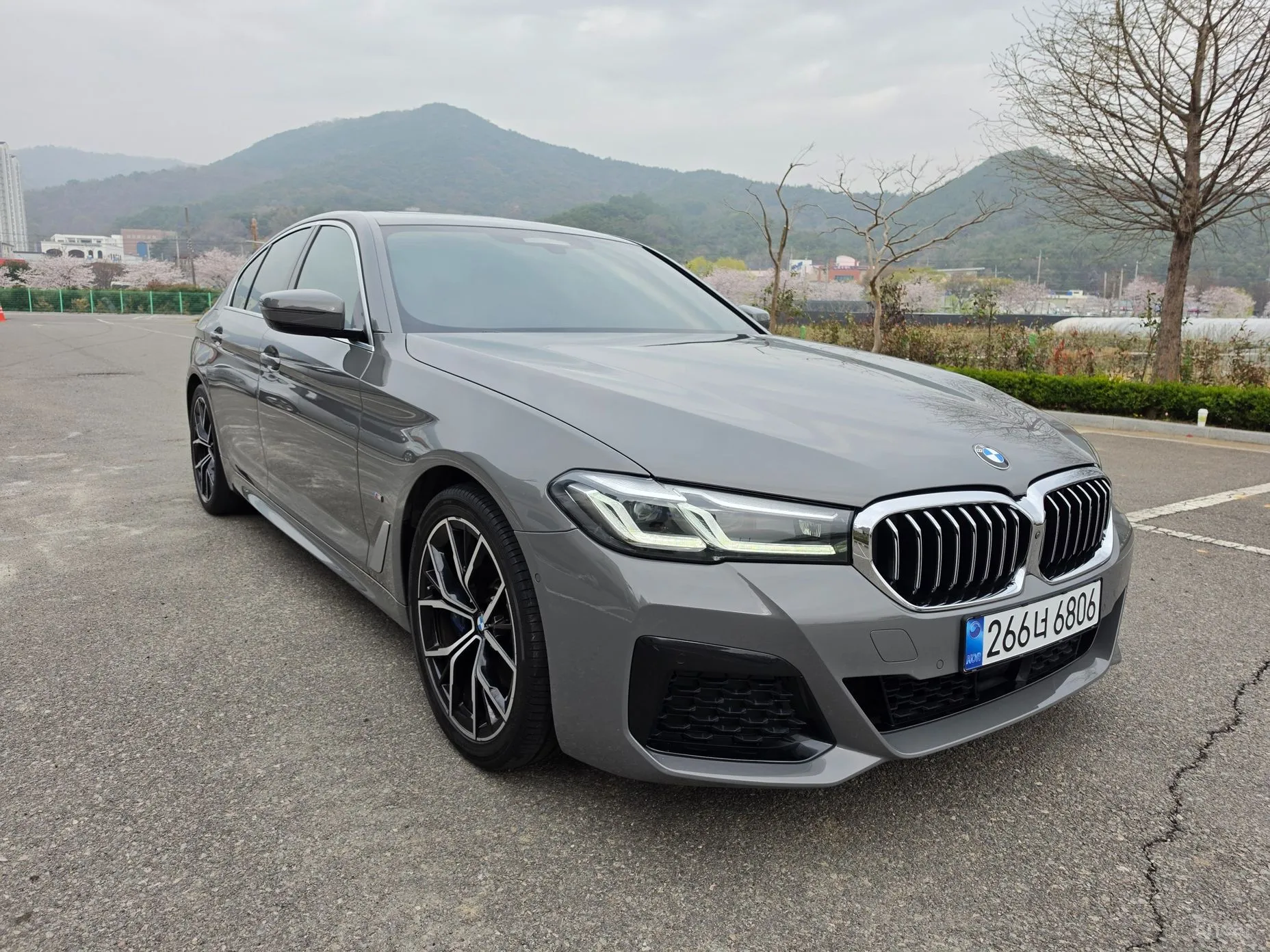 BMW 5 Series (G30)