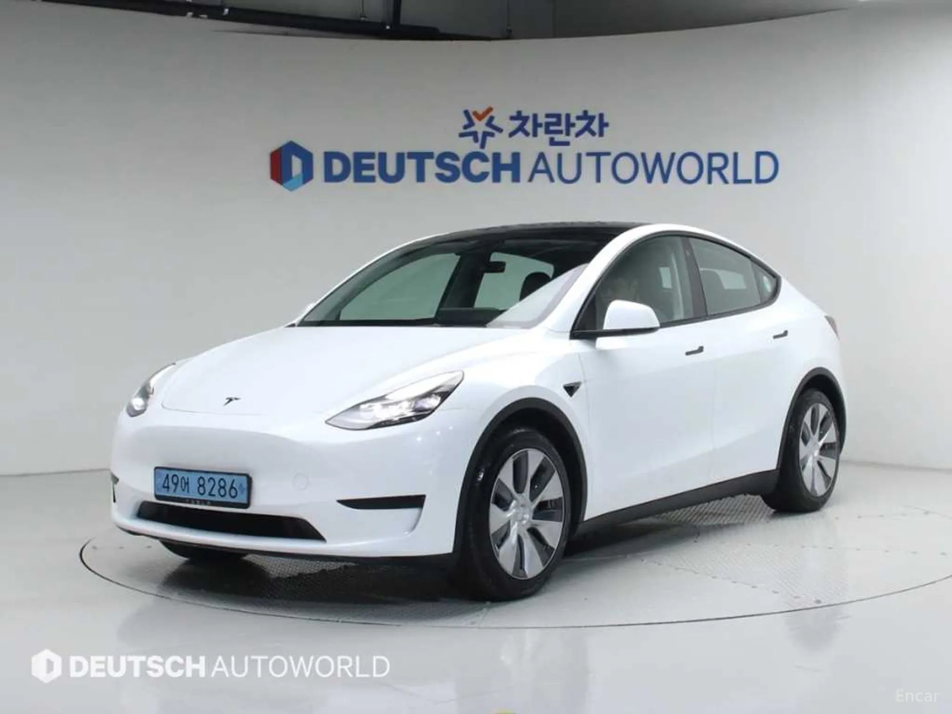 Model Y