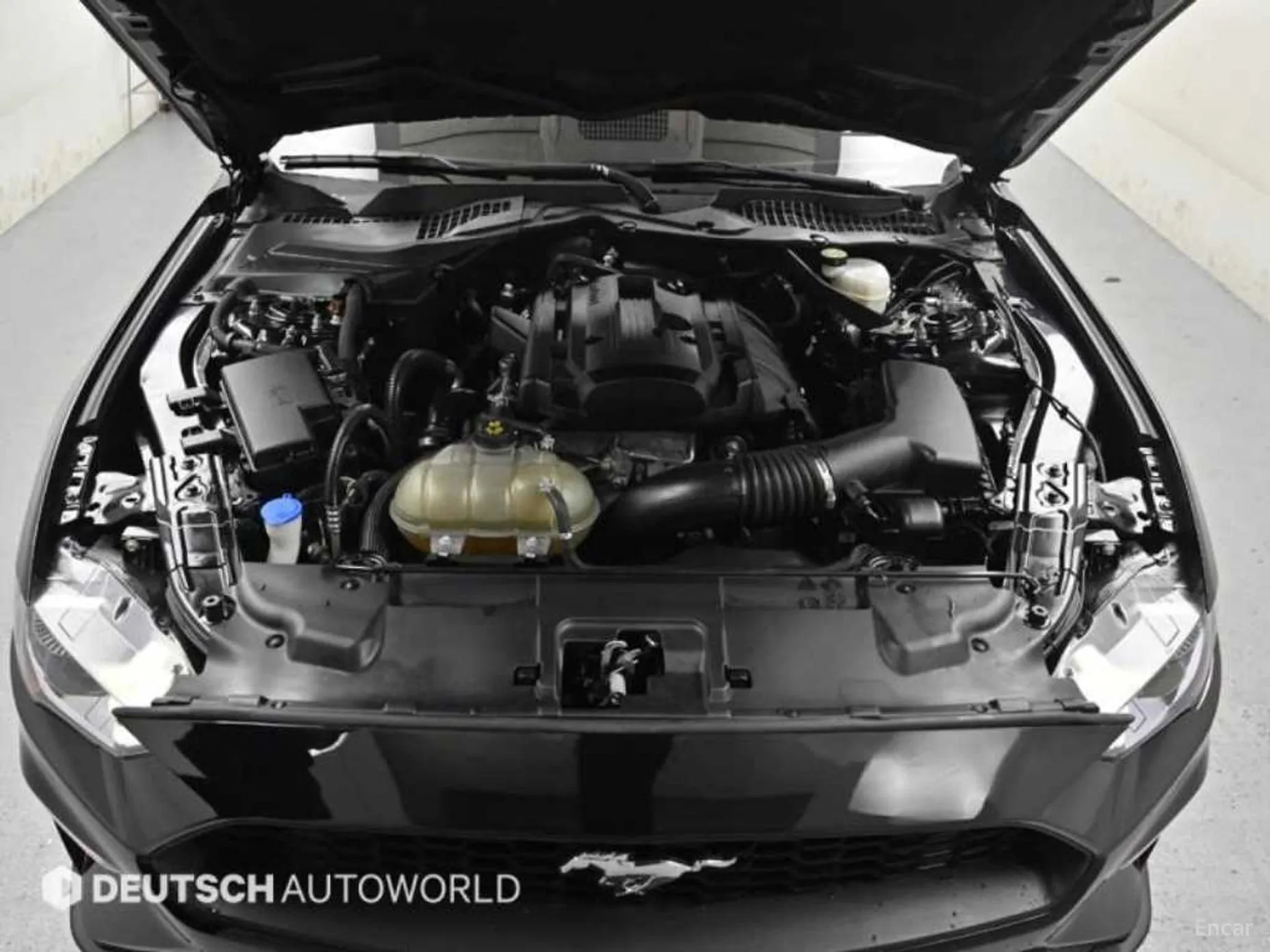 Ford Mustang превью 6