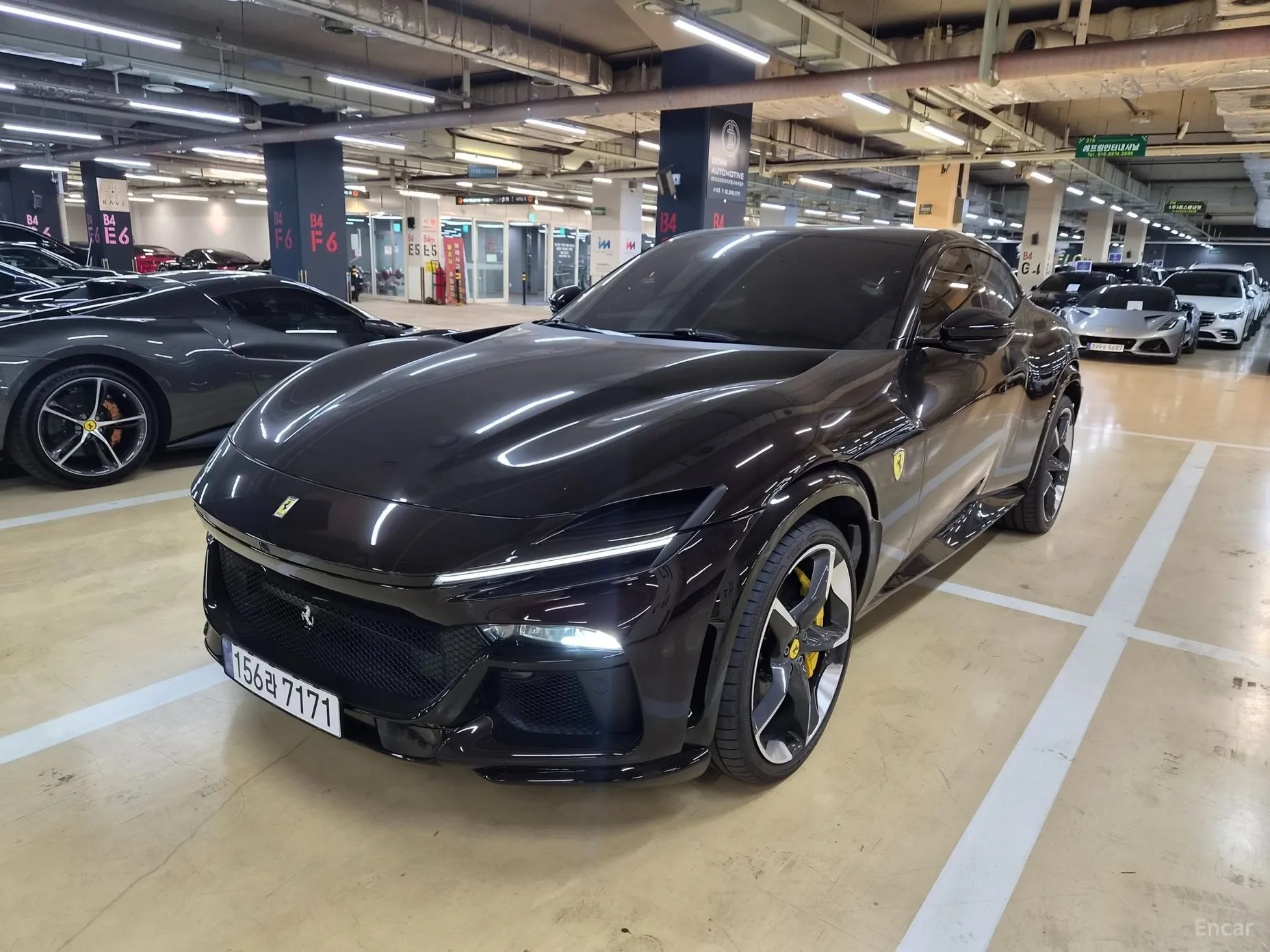 Ferrari Puro Sange