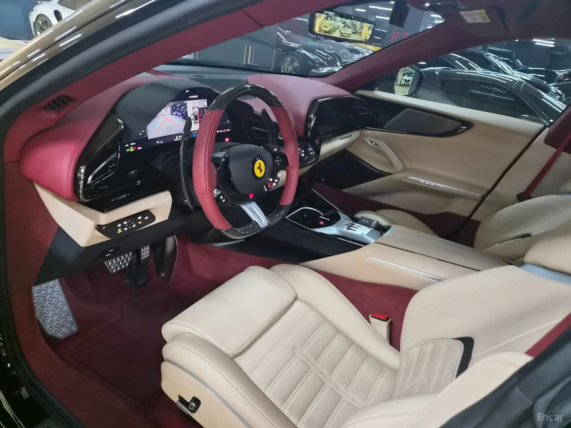 Ferrari Puro Sange превью 14