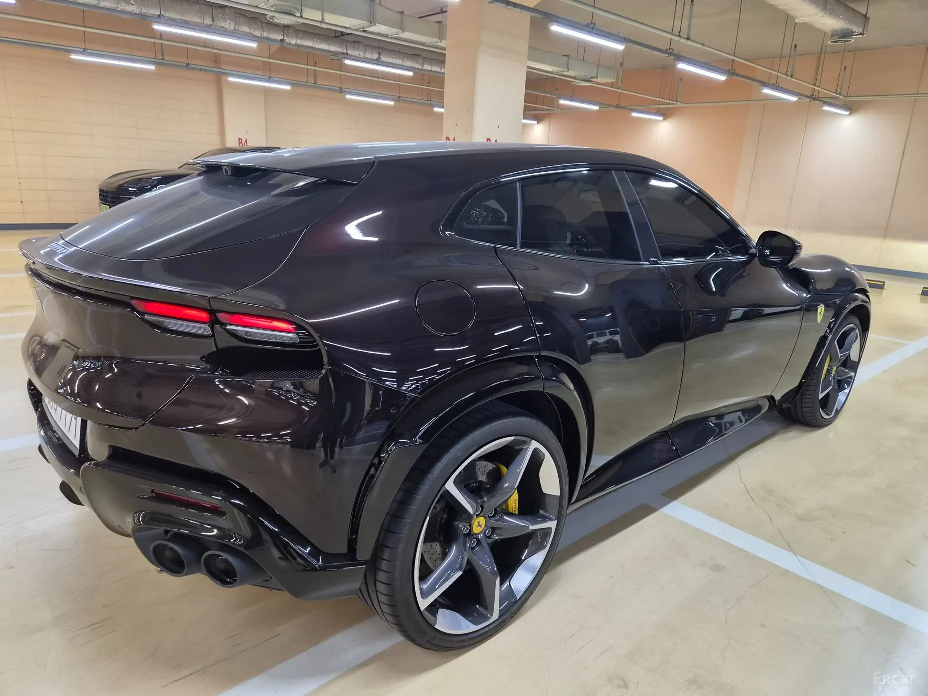 Ferrari Puro Sange