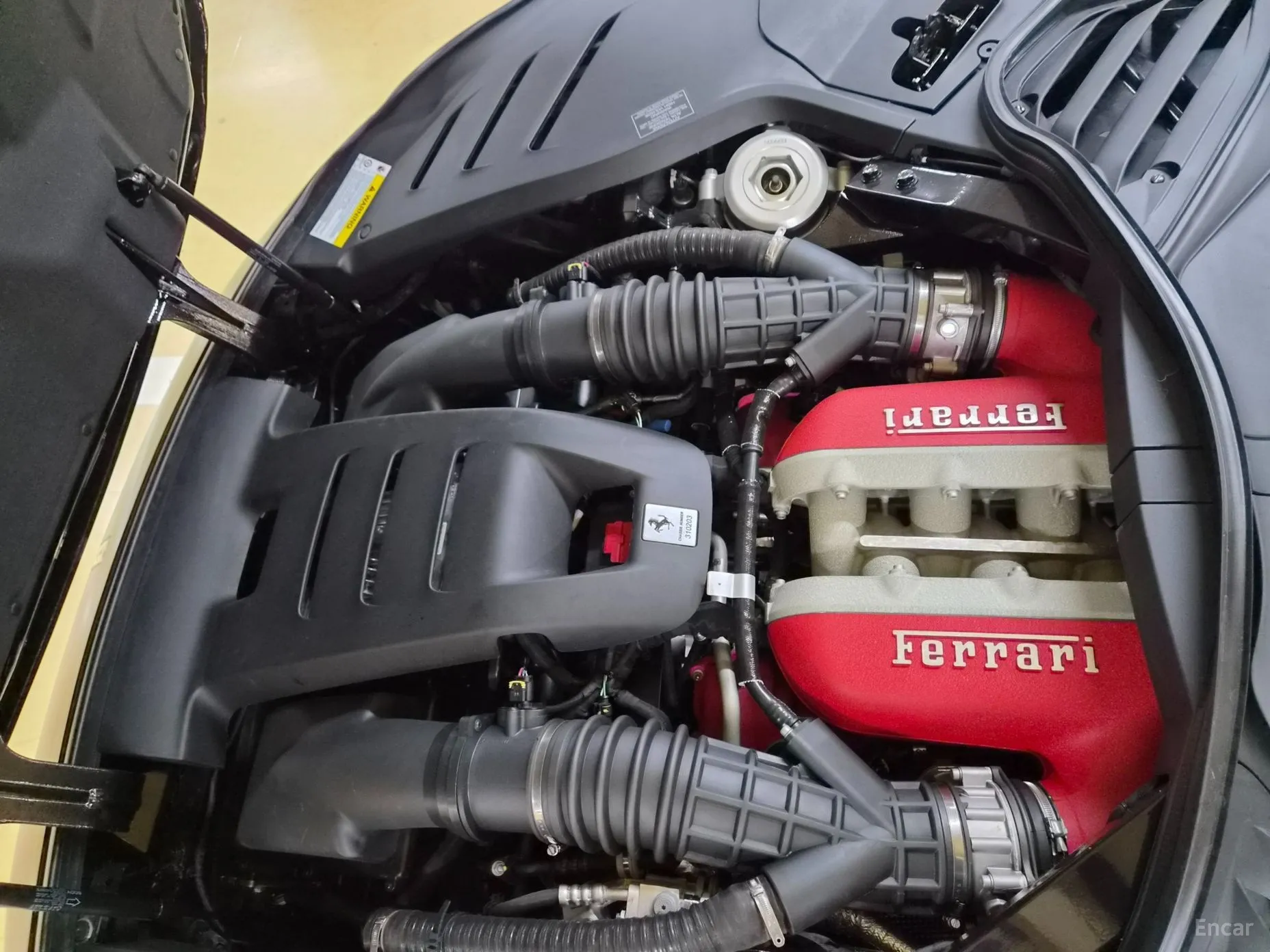 Ferrari Puro Sange превью 6