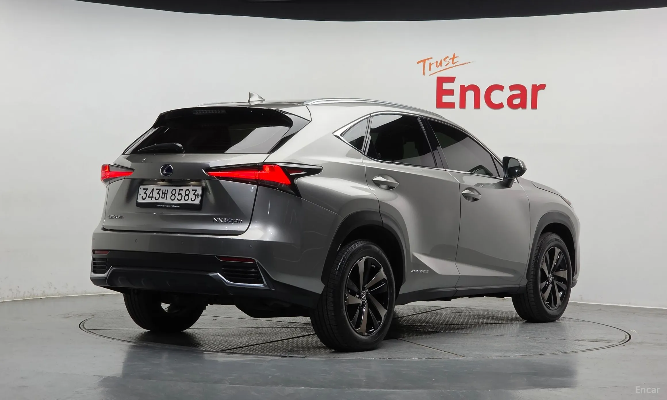 Lexus NX300h
