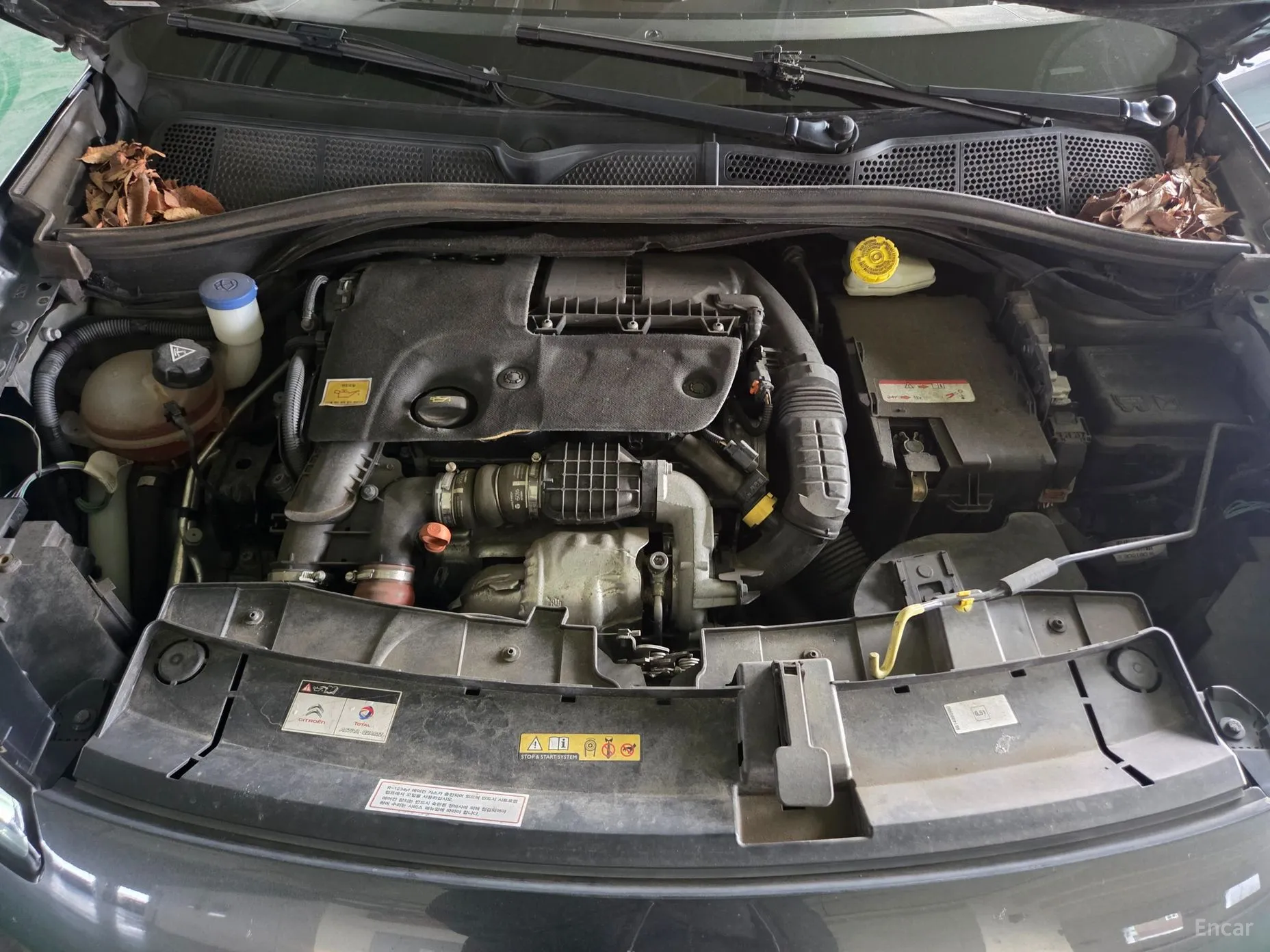Citroën/DS C4 Cocktooth превью 18