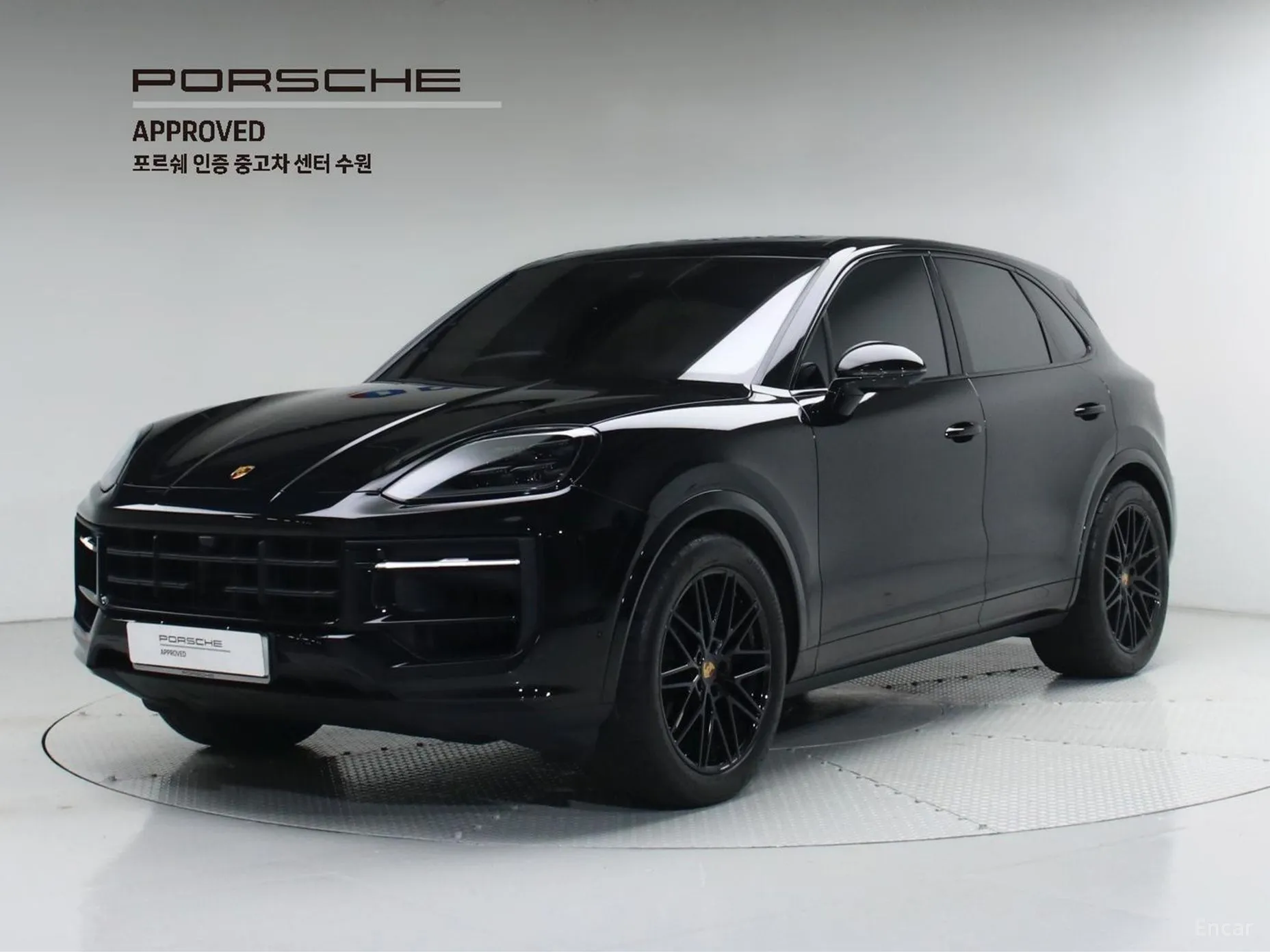Cayenne (PO536)