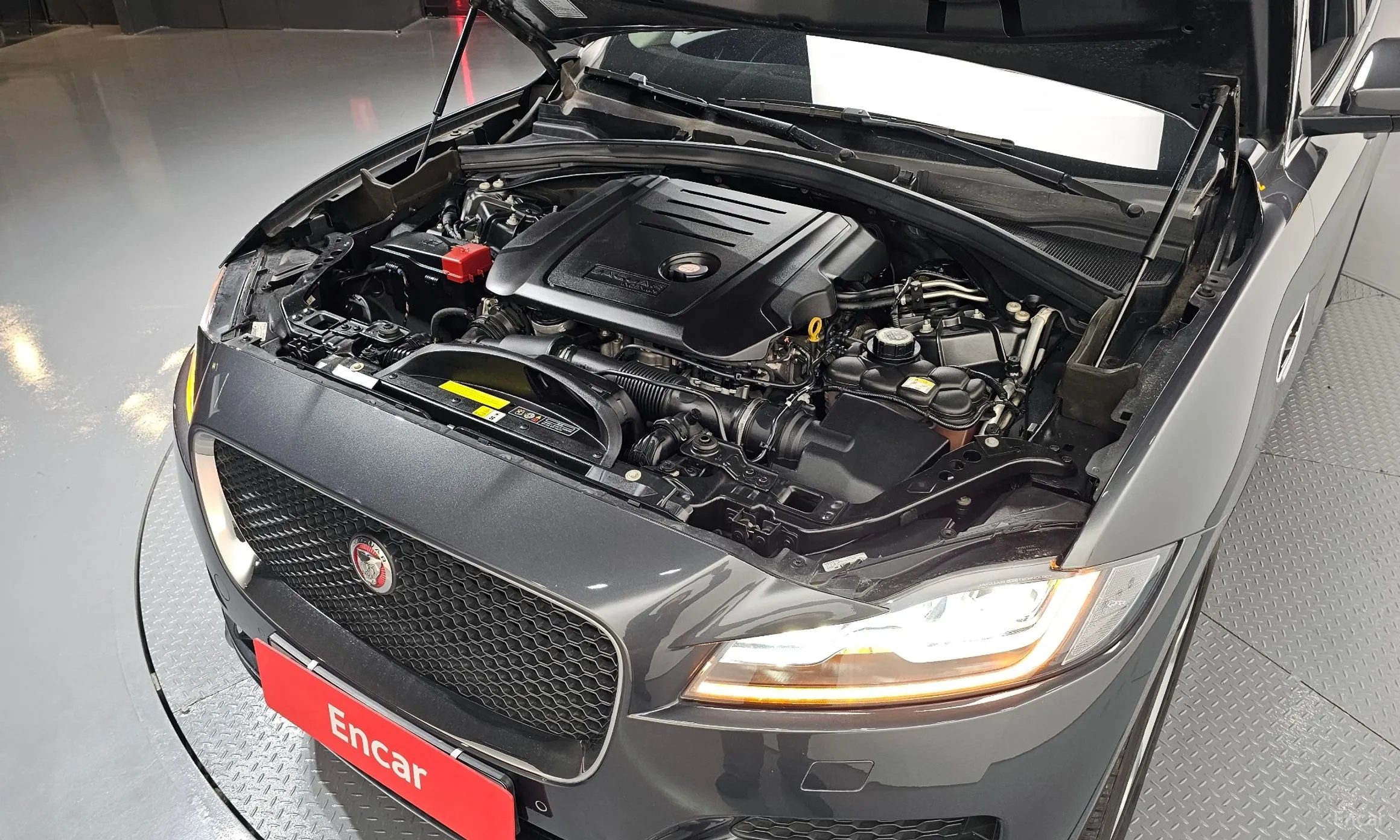 Jaguar F-PACE превью 6