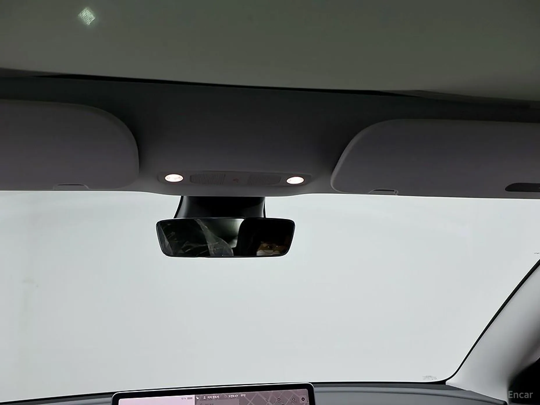 Tesla Model 3 превью 13