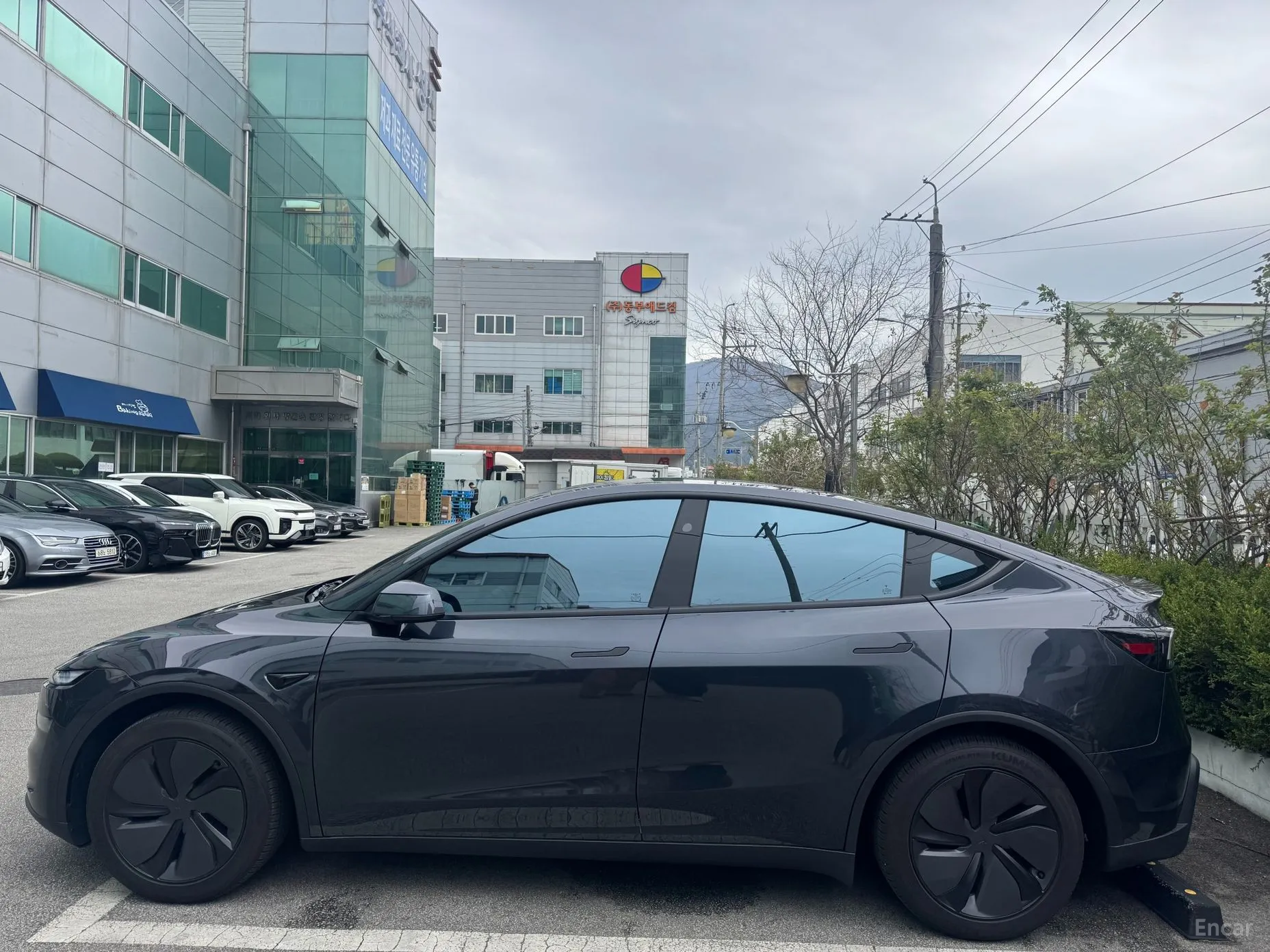 Tesla Model Y превью 4