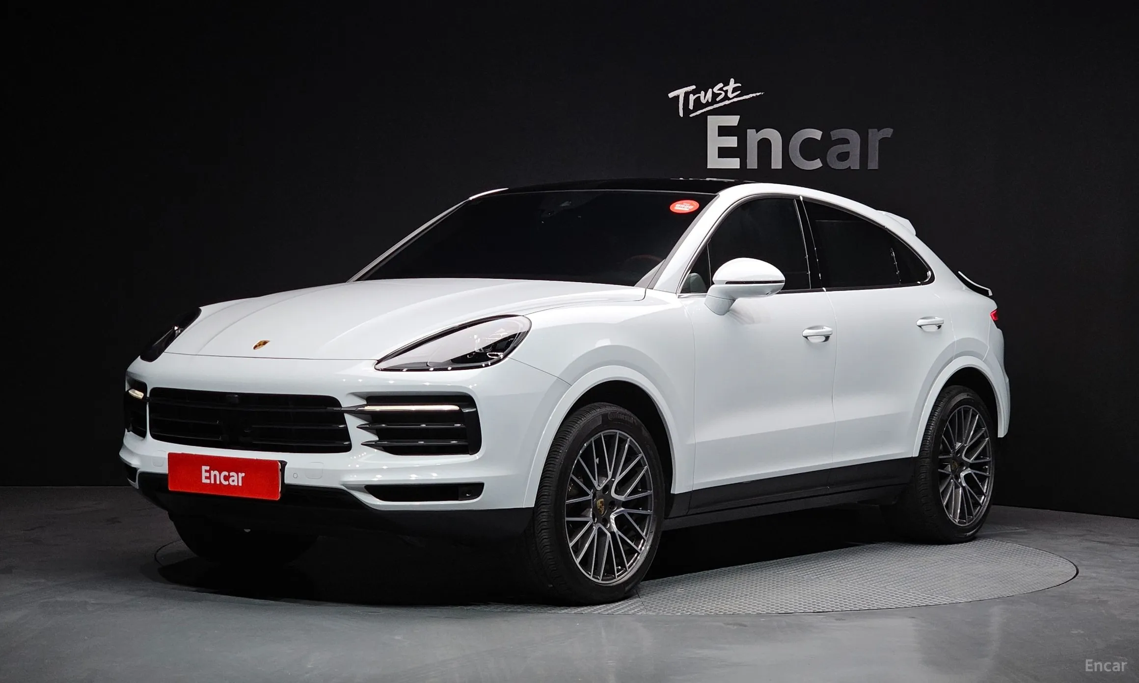 Cayenne (PO536)