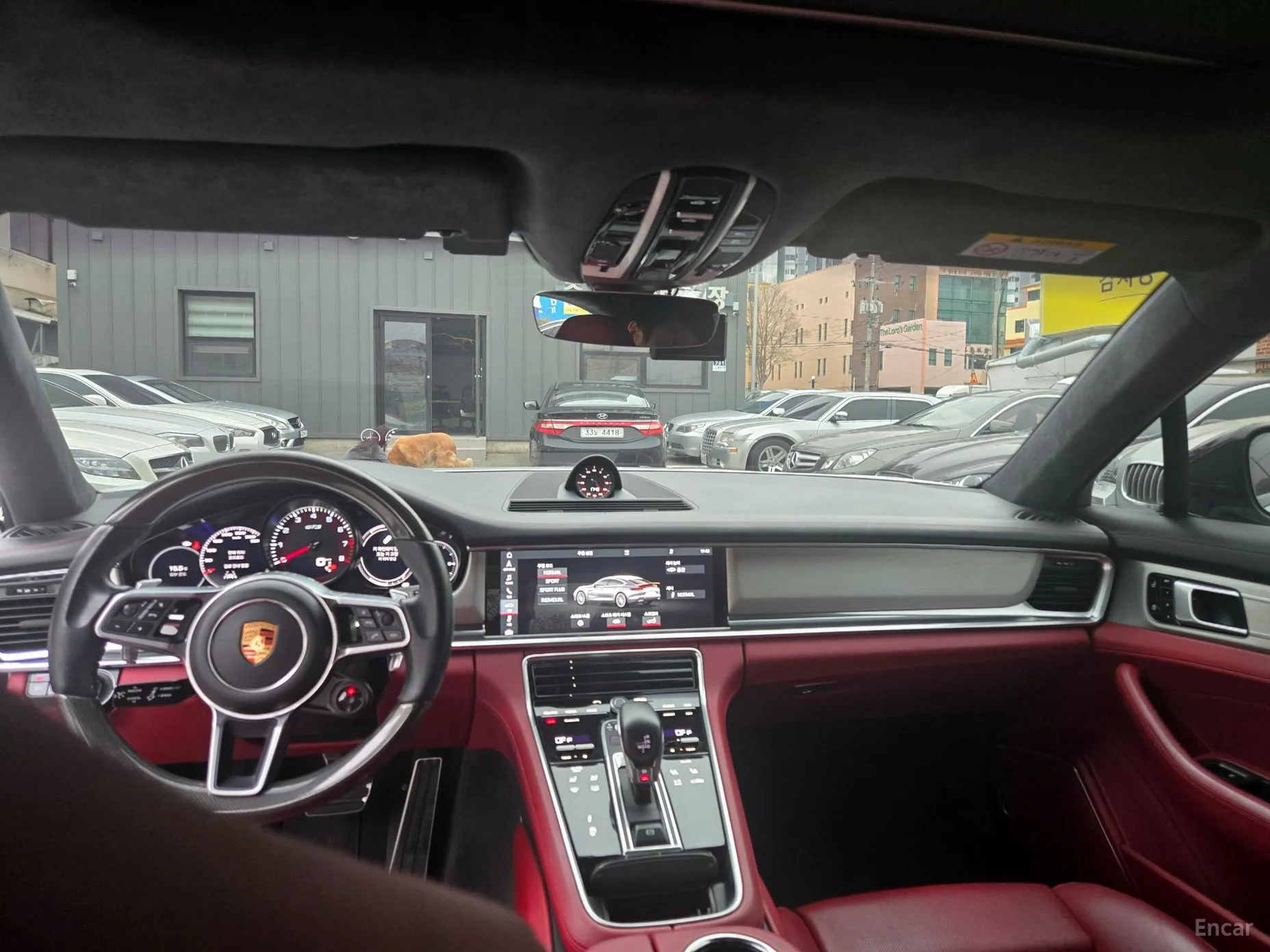 Porsche Panamera (971) превью 14
