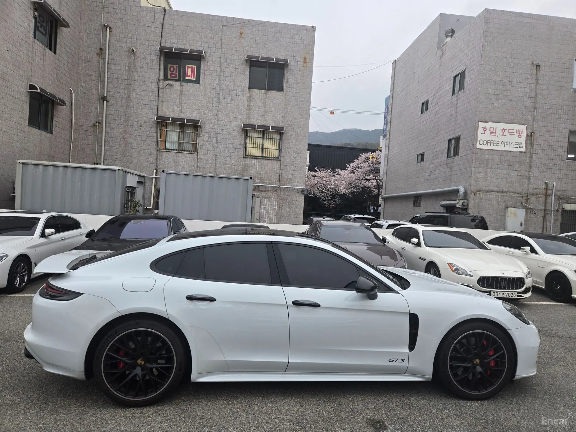 Porsche Panamera (971) превью 7