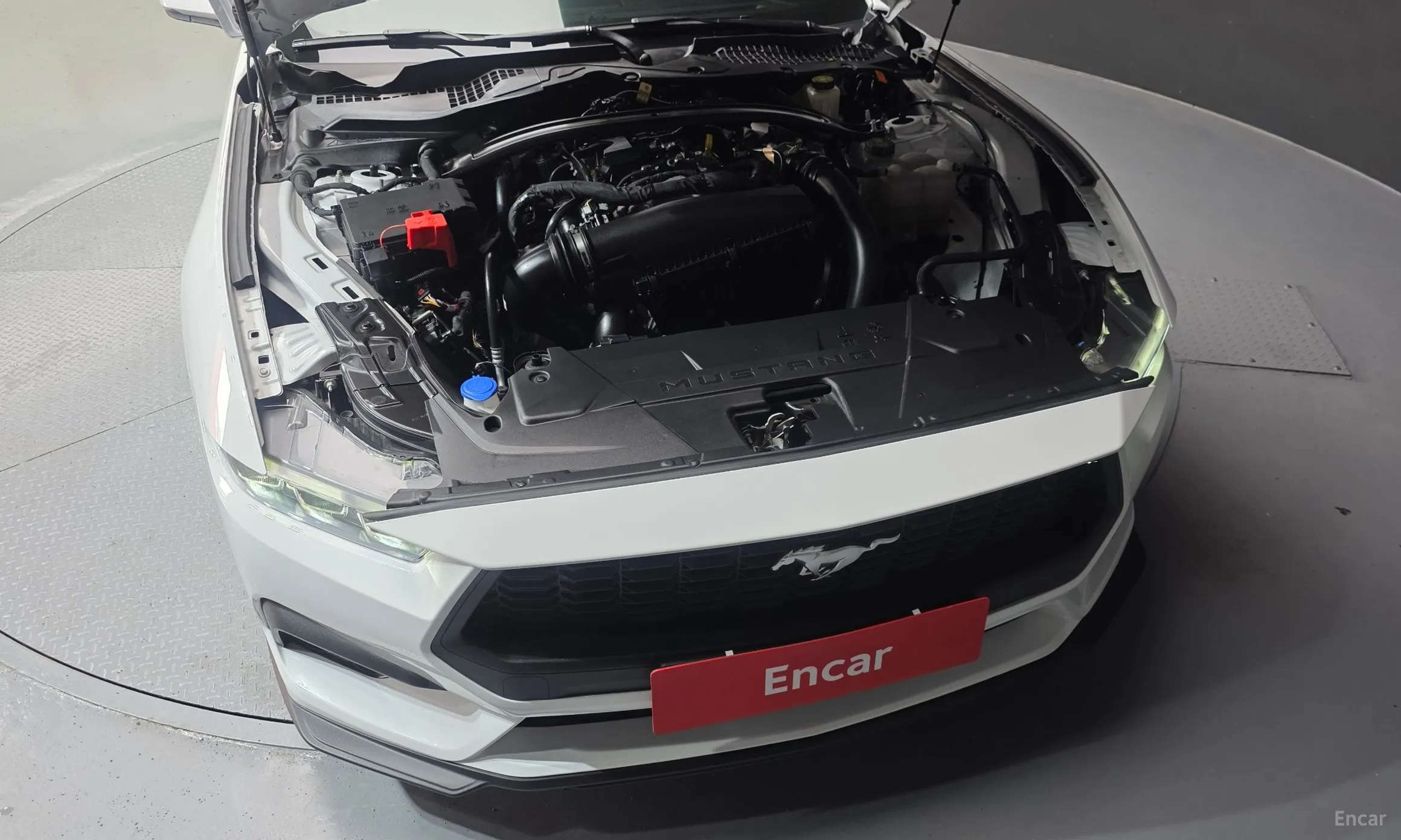 Ford Mustang 7th Generation превью 6