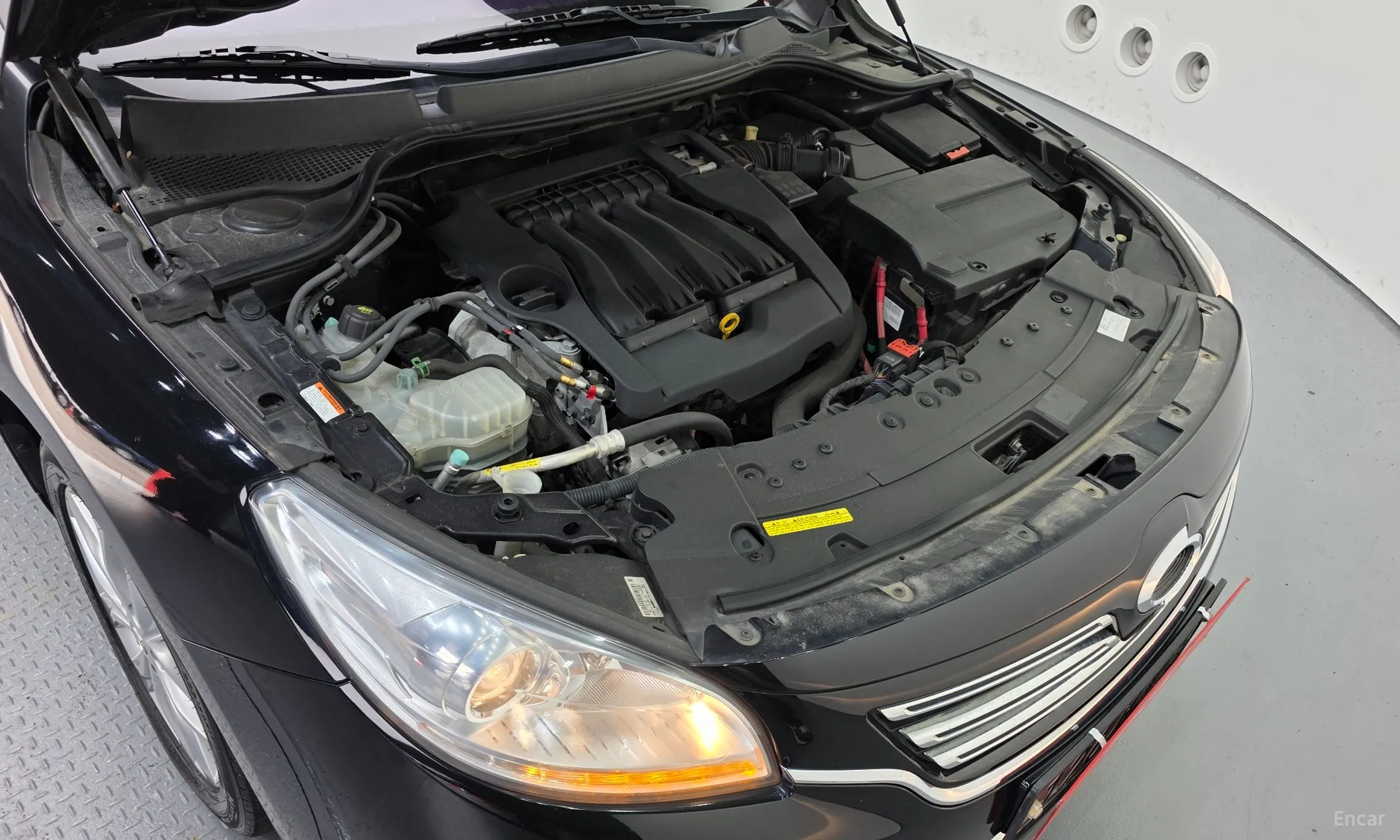 Renault Korea (Samsung) SM7 превью 6