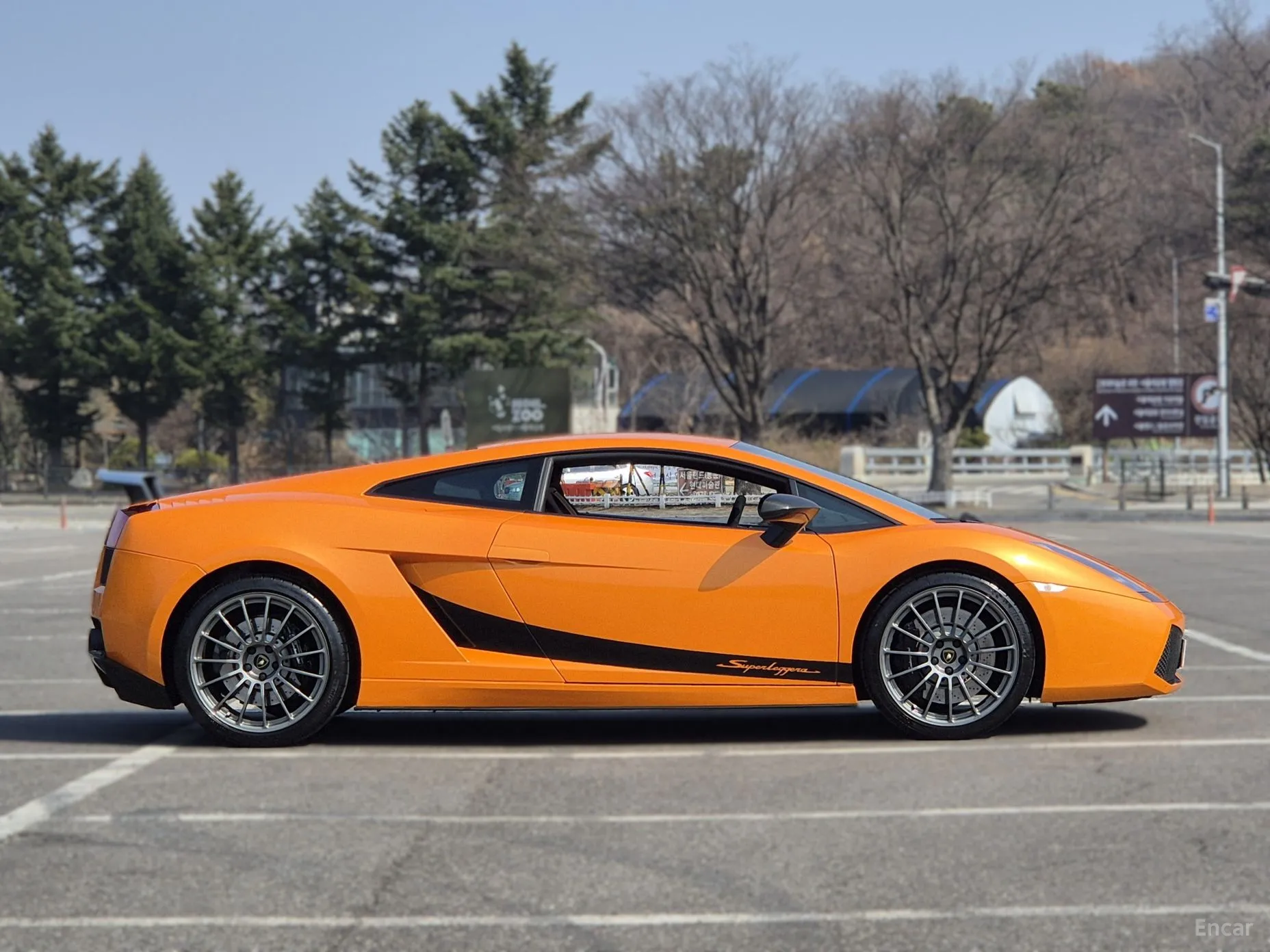 Lamborghini GALLARDO превью 18