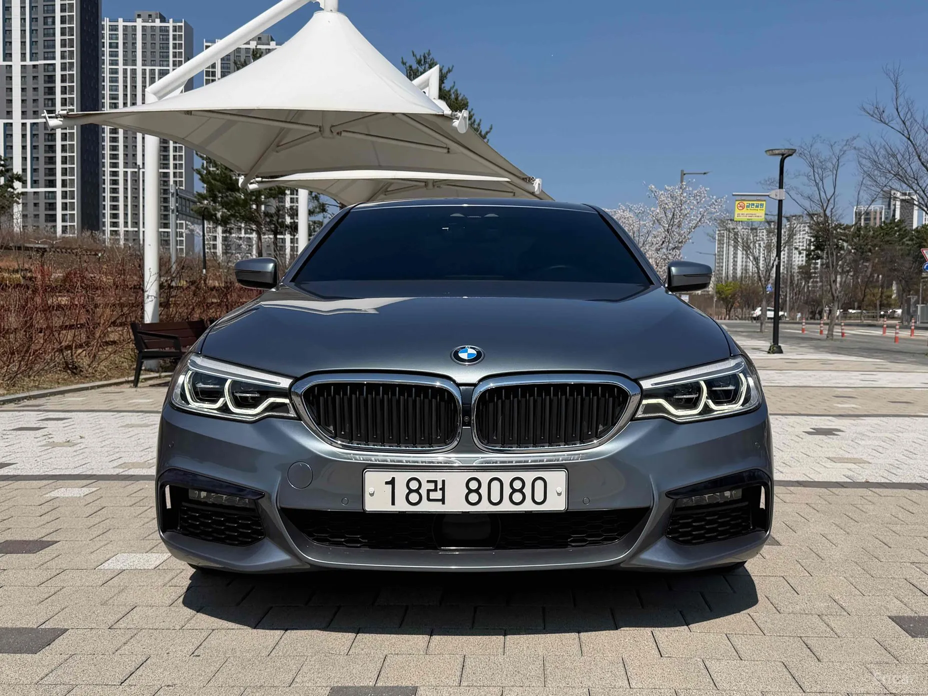 BMW 5 Series (G30) превью 3