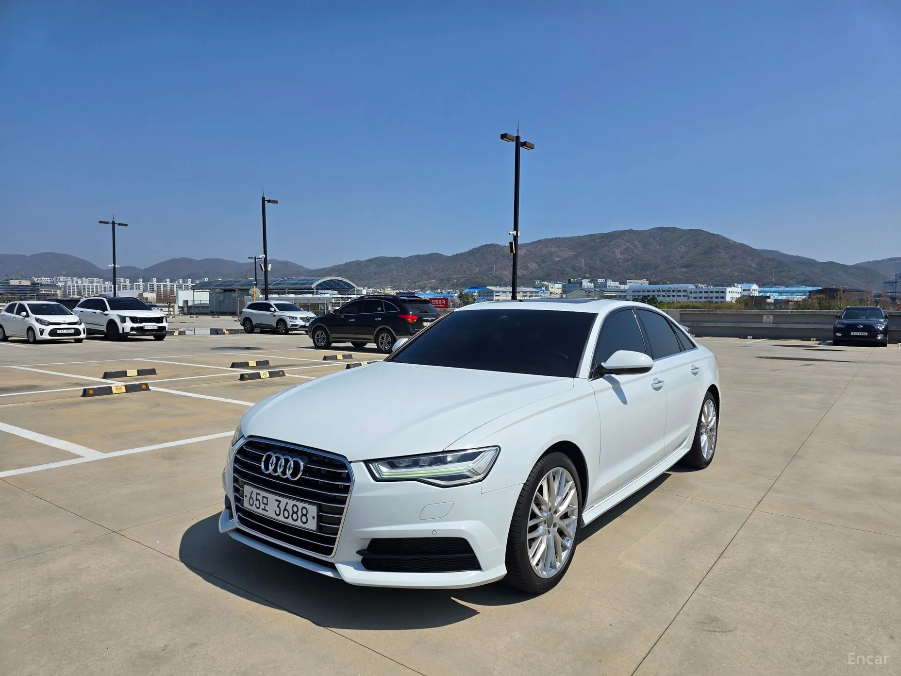 Audi New A6
