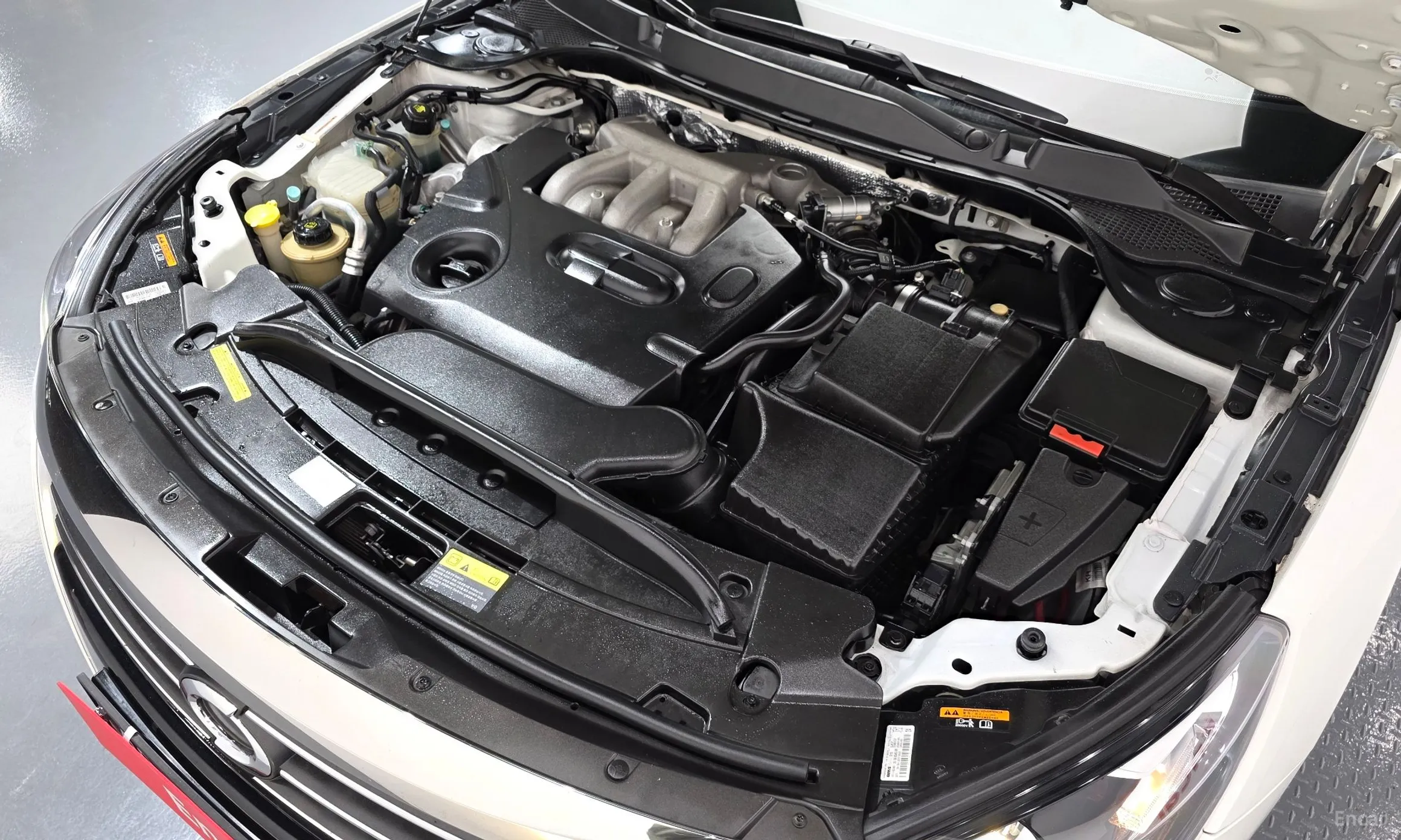 Renault Korea (Samsung) SM7 превью 6