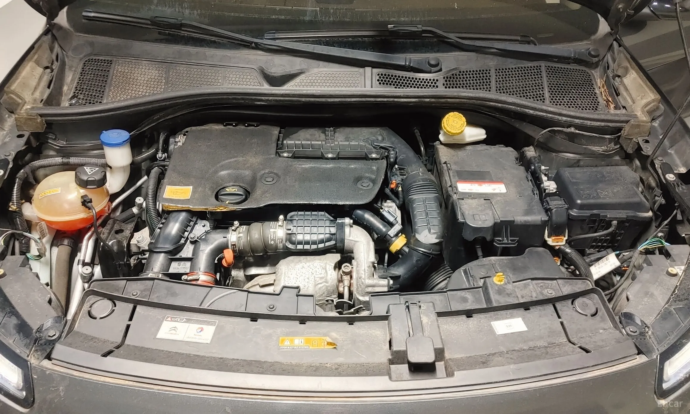 Citroën/DS C4 Cocktooth превью 18