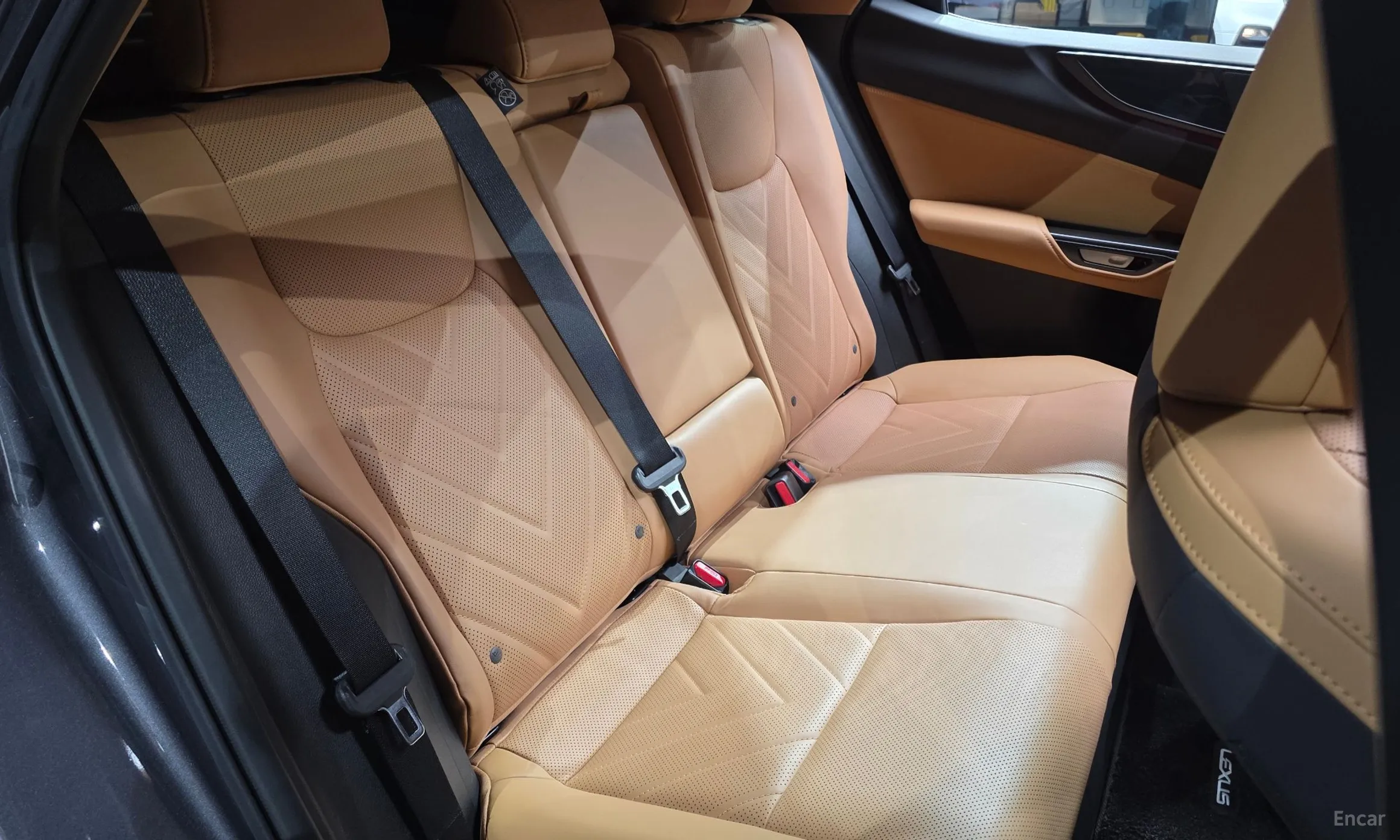 Lexus NX350h Gen 2 превью 11