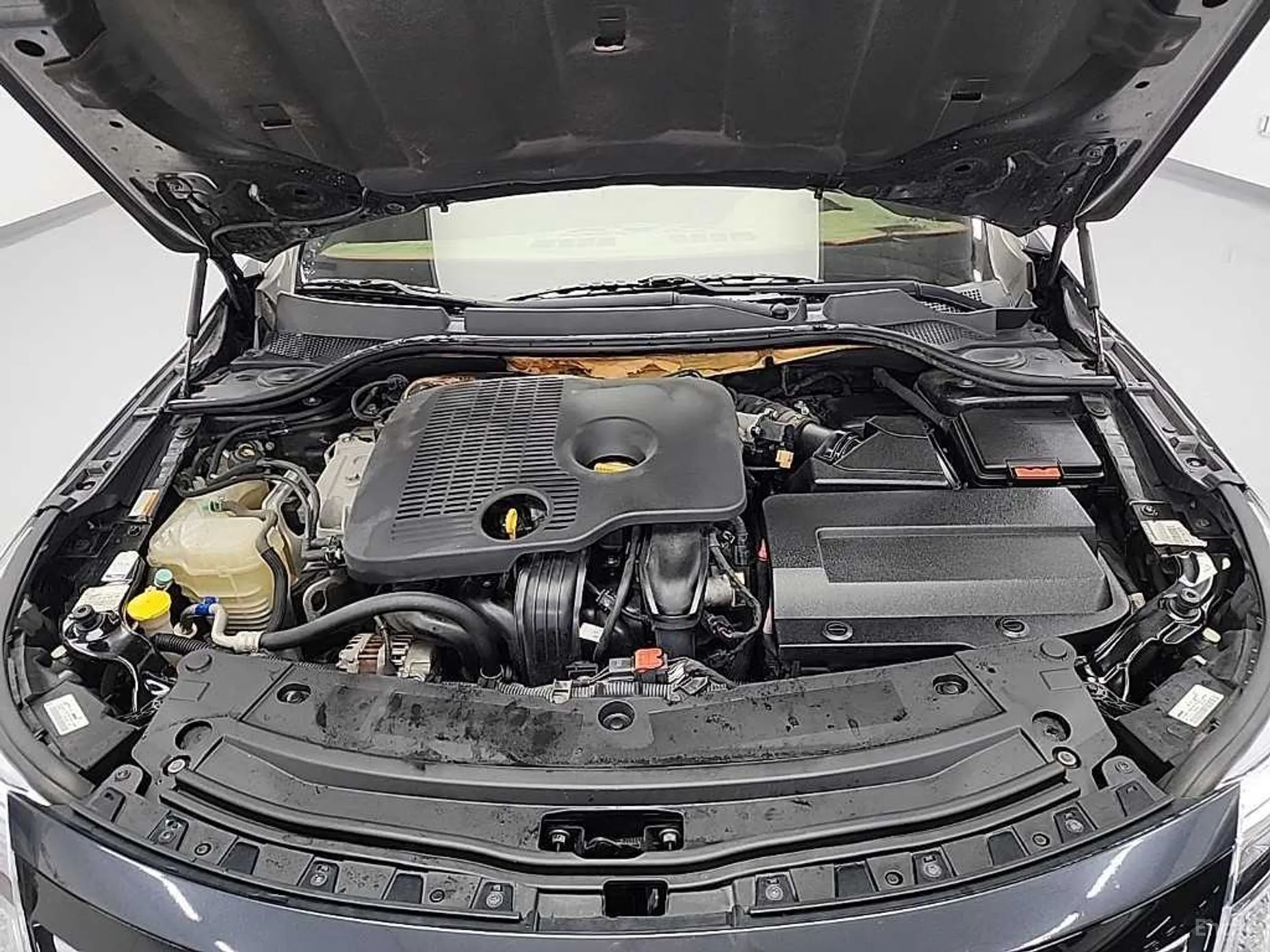 Renault Korea (Samsung) SM5 превью 16