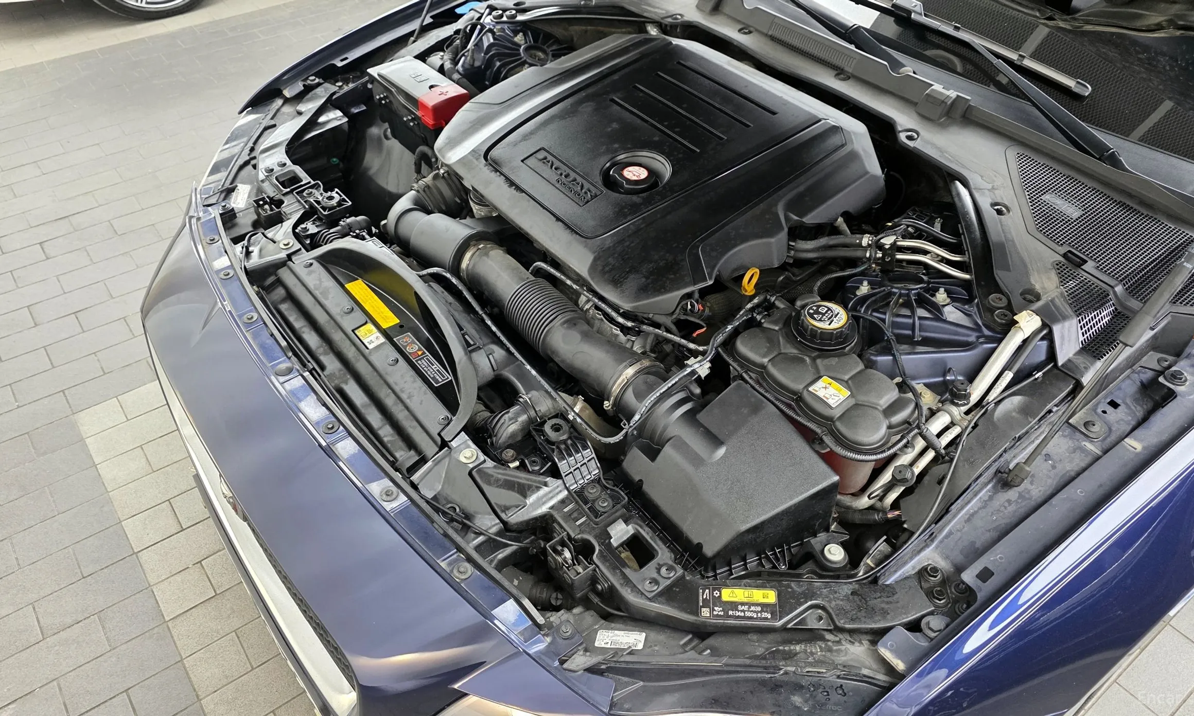 Jaguar XF (x260) превью 6